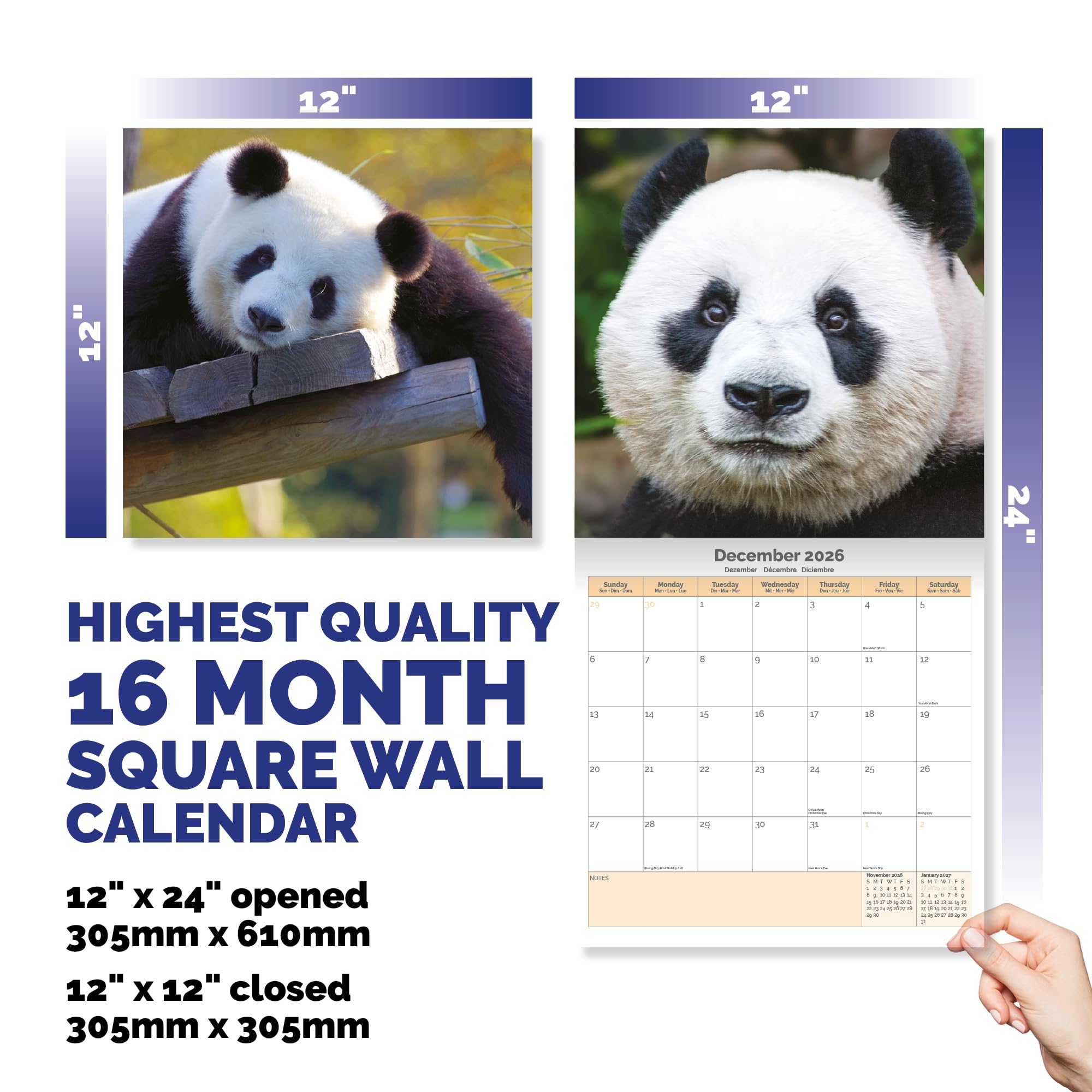Panda Bears Calendar 2026,