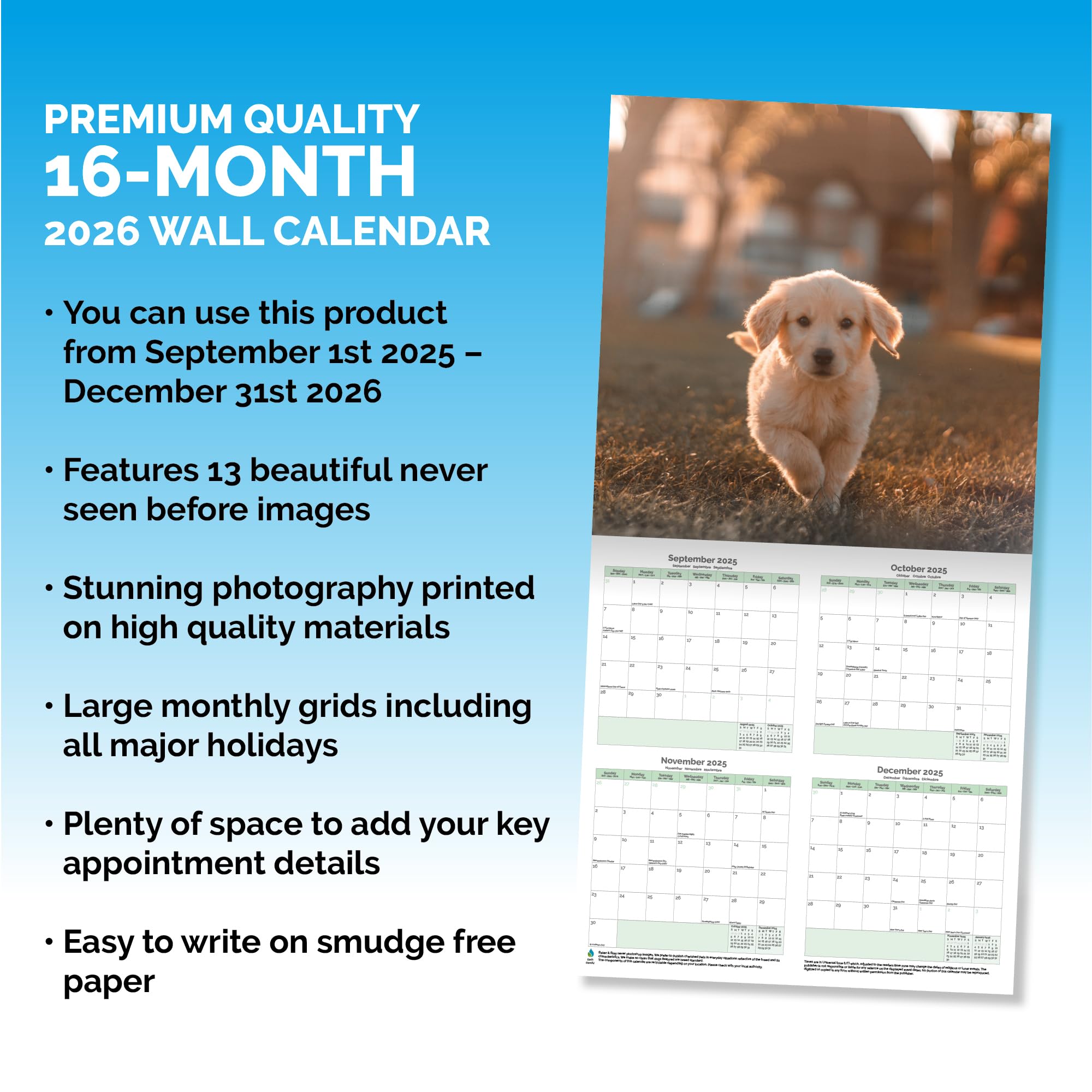 Golden Retriever Puppies Calendar 2026