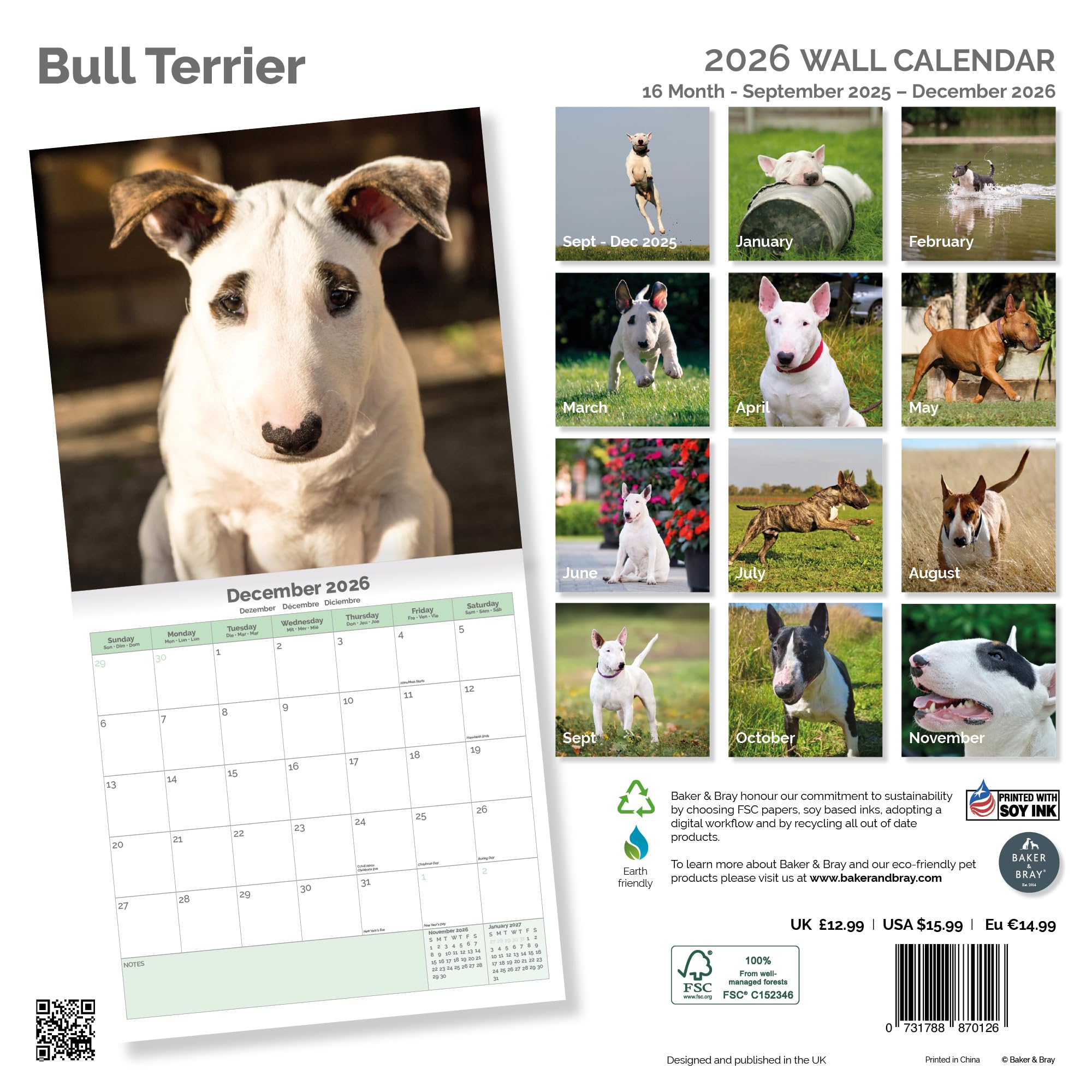 Bull Terrier Calendar 2026