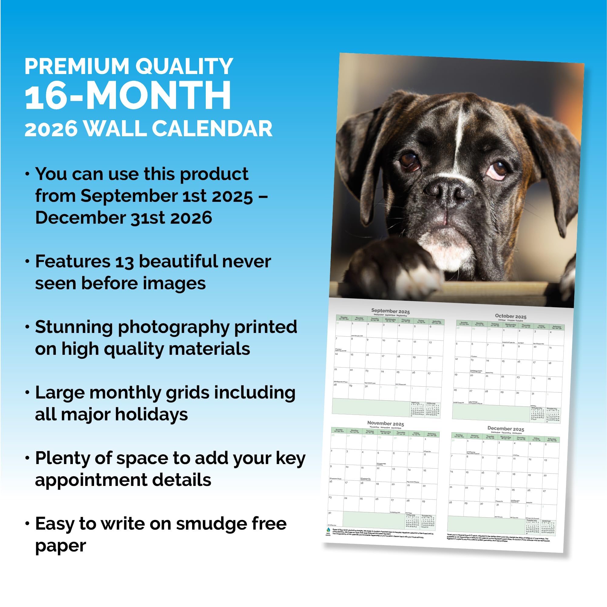 Boxer Dog Puppies Calendar 2026