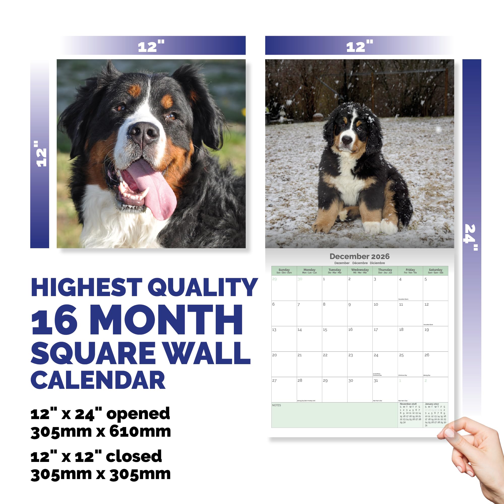 Bernese Mountain Dog Calendar 2026