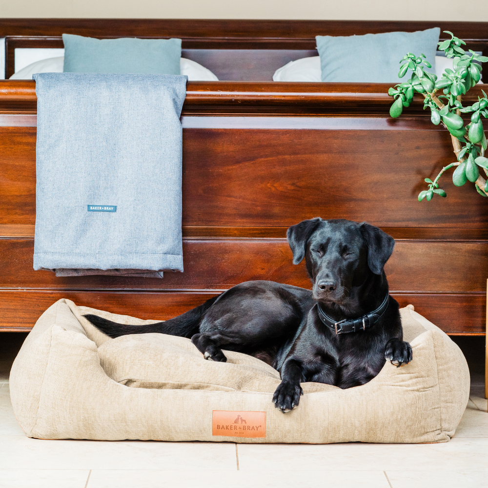 The Ultimate - Eco Friendly Orthopaedic Luxury Dog Bed, Oatmeal Beige