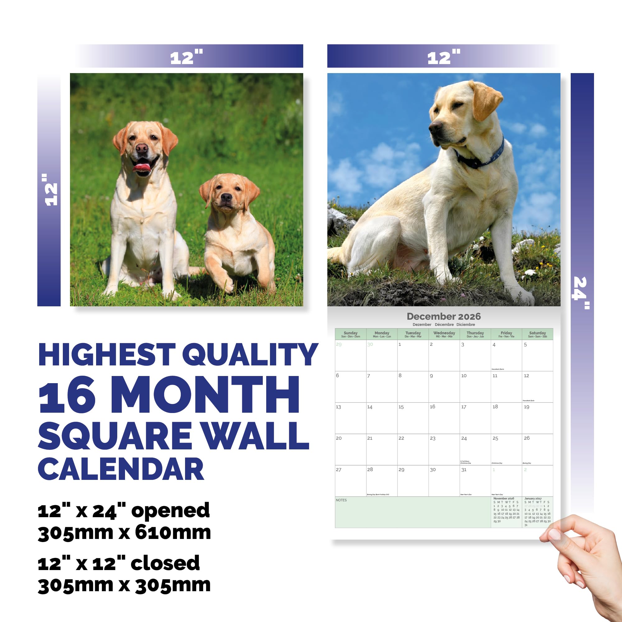 Yellow Labrador Calendar 2026