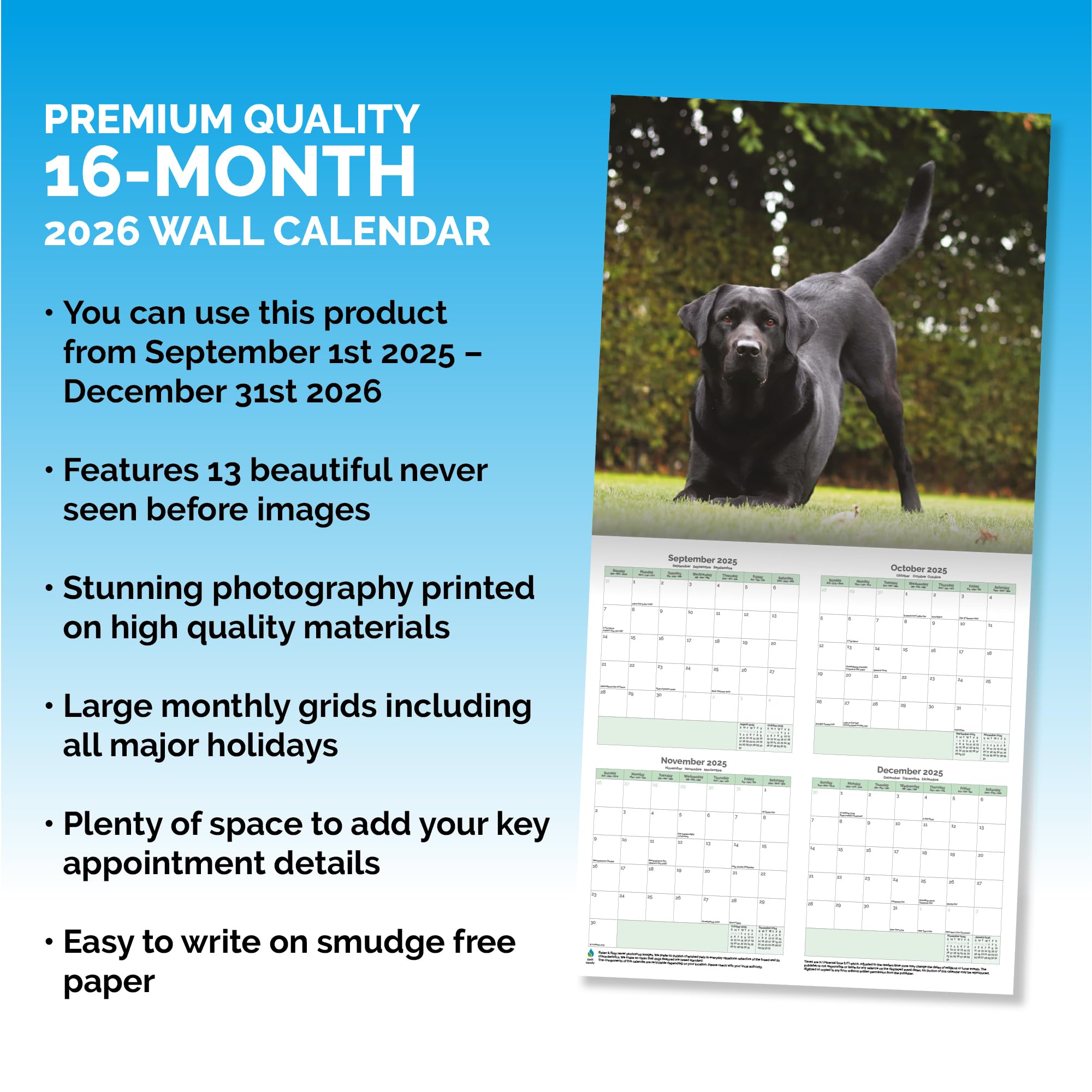 Black Labrador Calendar 2026