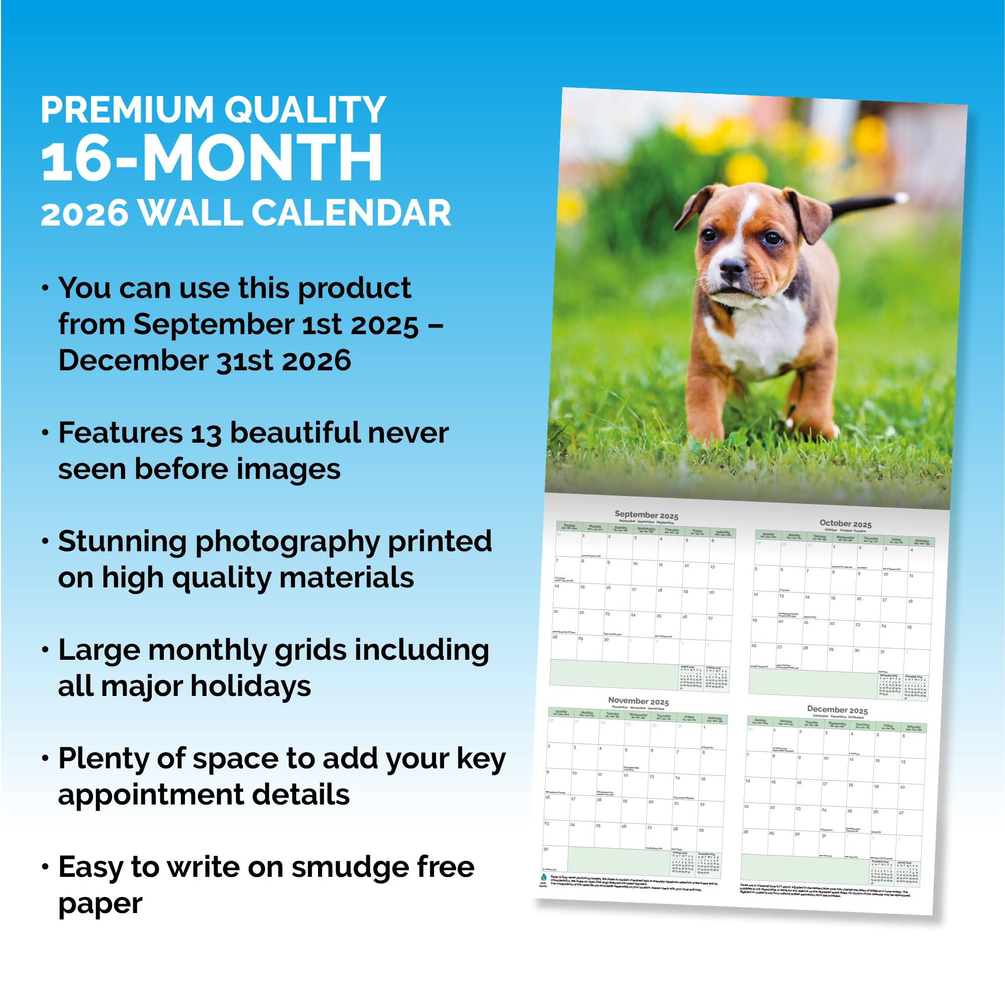 Staffordshire Bull Terrier Puppies Calendar 2026