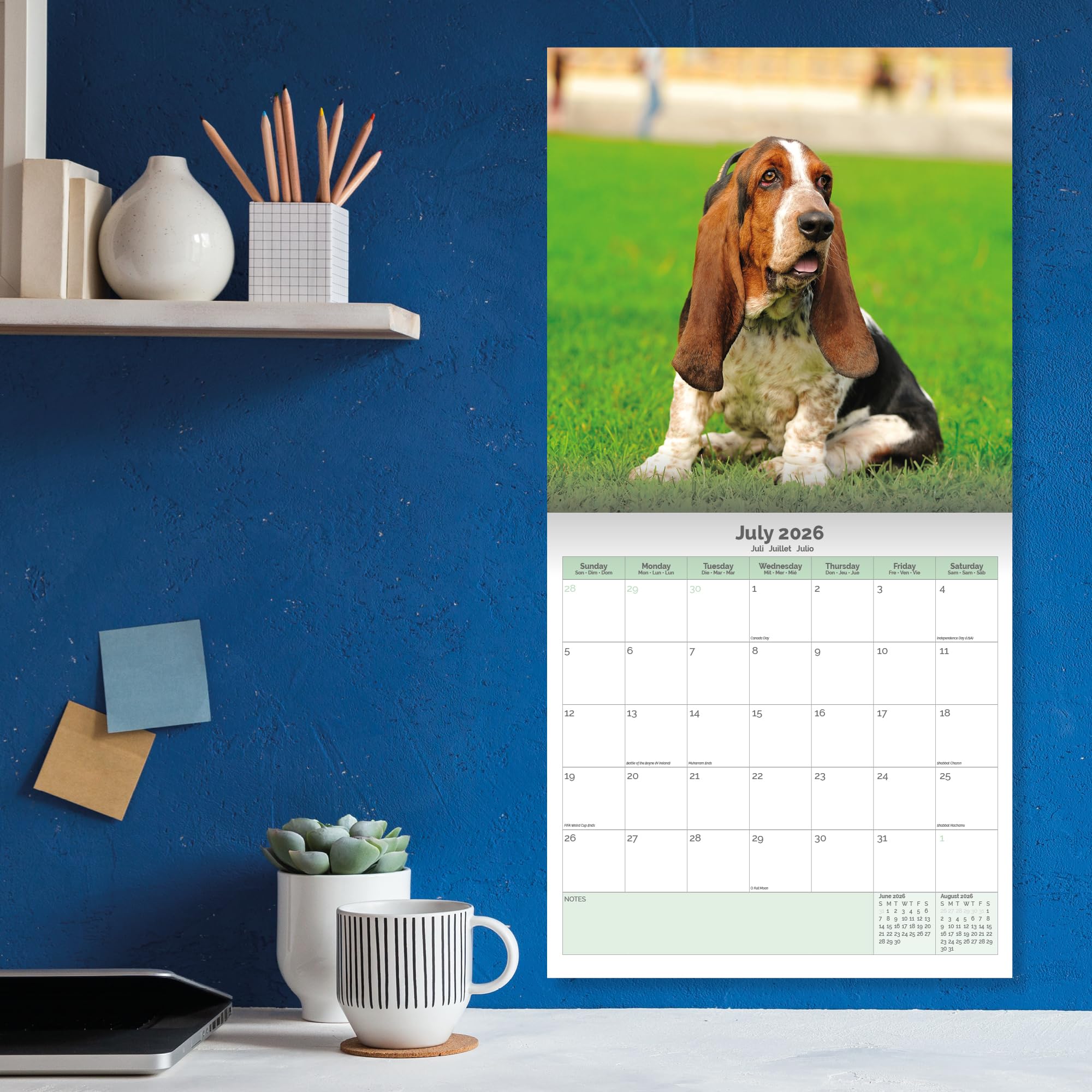 Basset Hound Calendar 2026