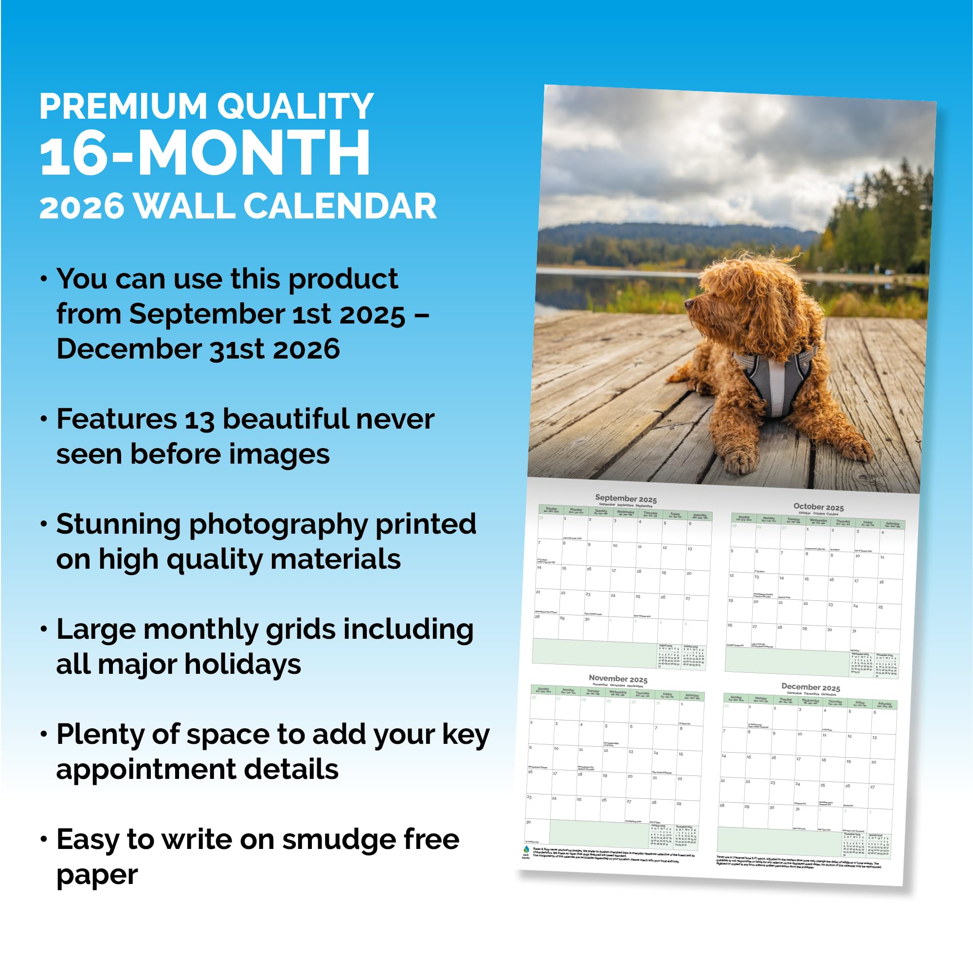 Cavapoo Calendar 2026