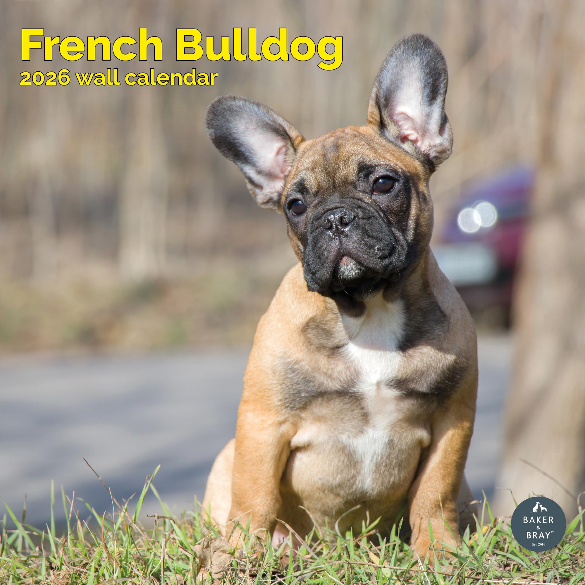French Bulldog Calendar 2026