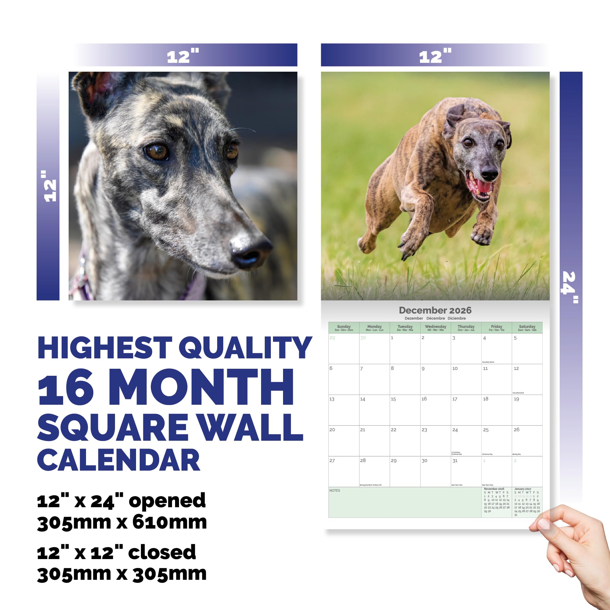 Greyhound Calendar 2026