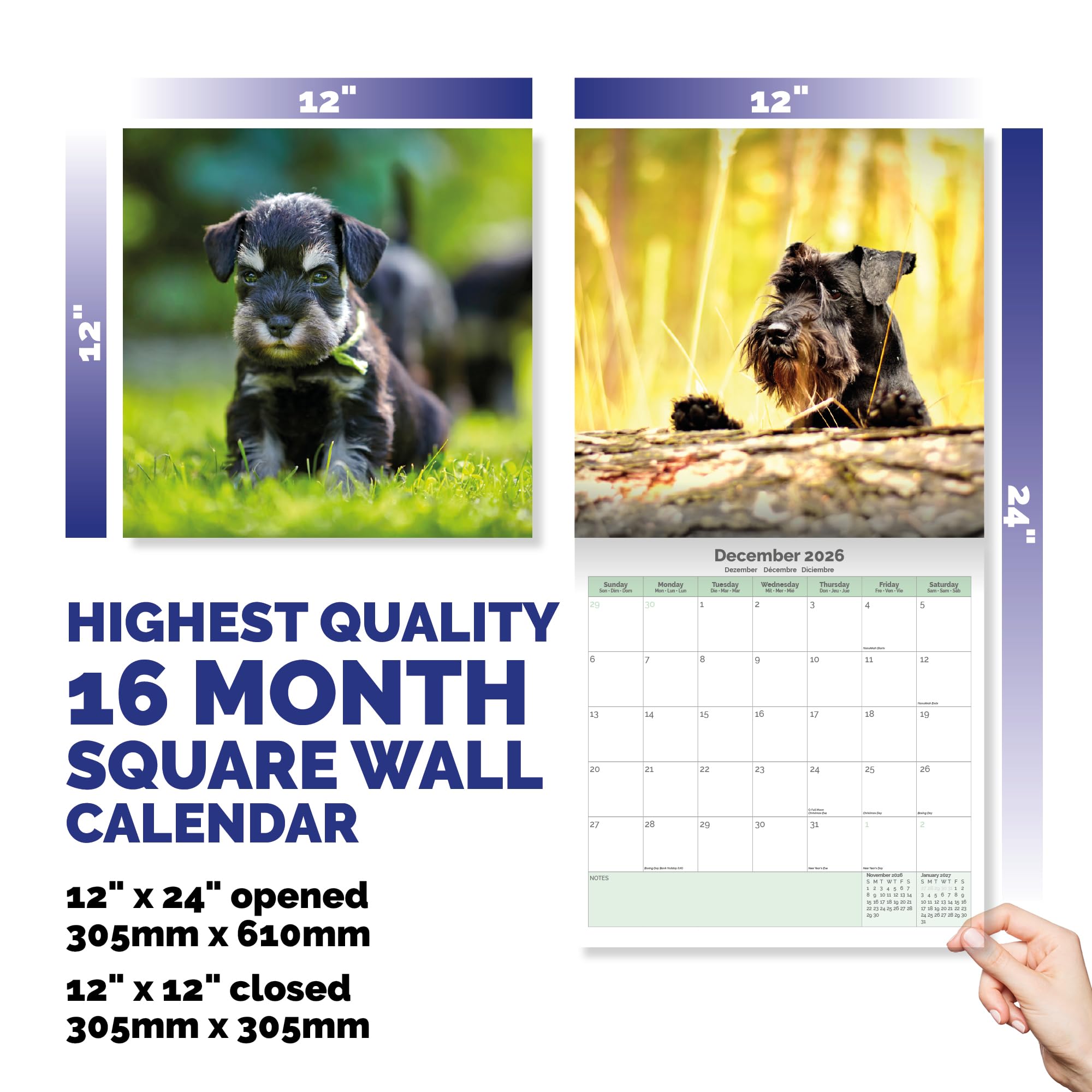 Miniature Schnauzer Puppies Calendar 2026