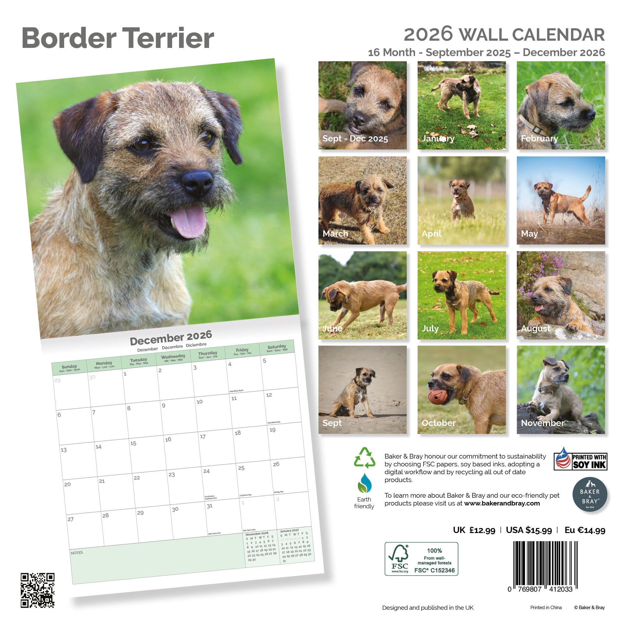 Border Terrier Calendar 2026