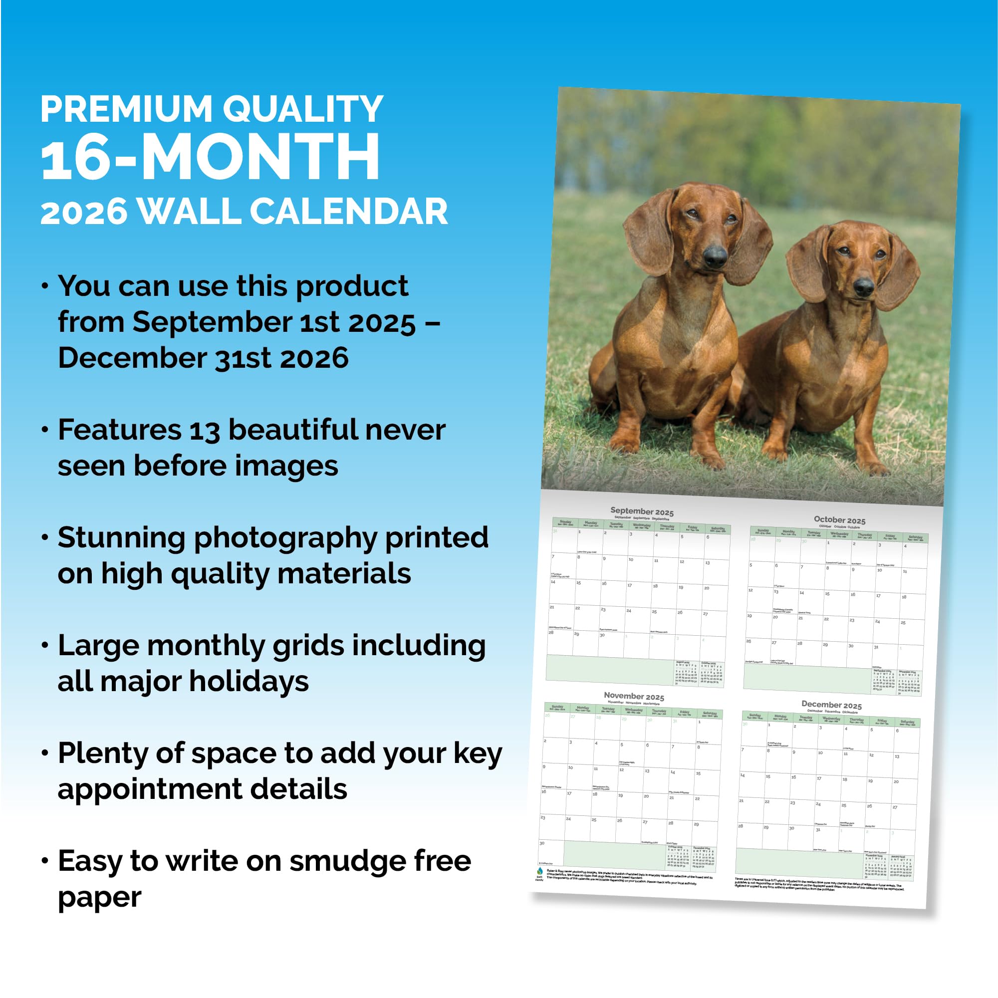 Dachshund Calendar 2026