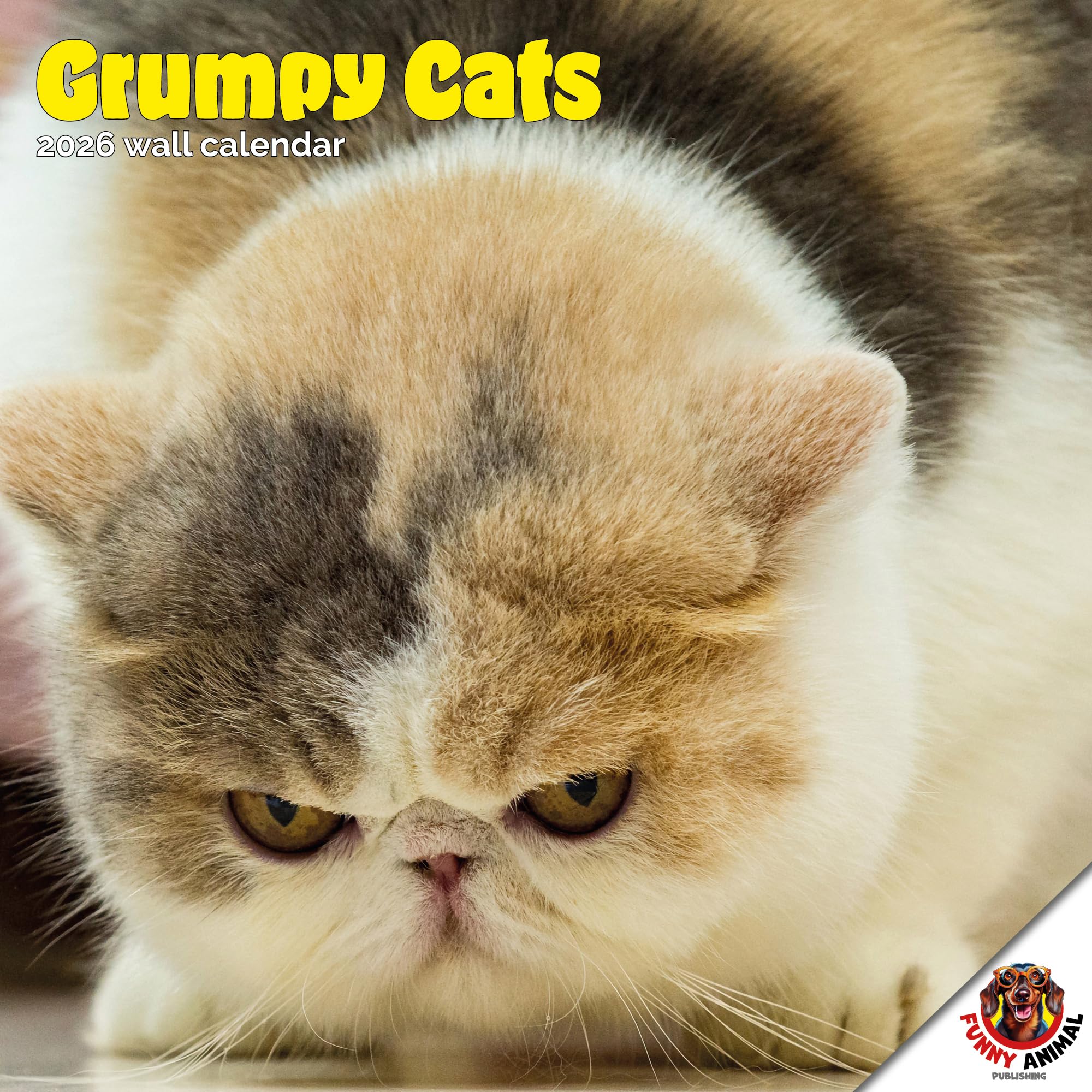 Grumpy Cats Calendar 2026