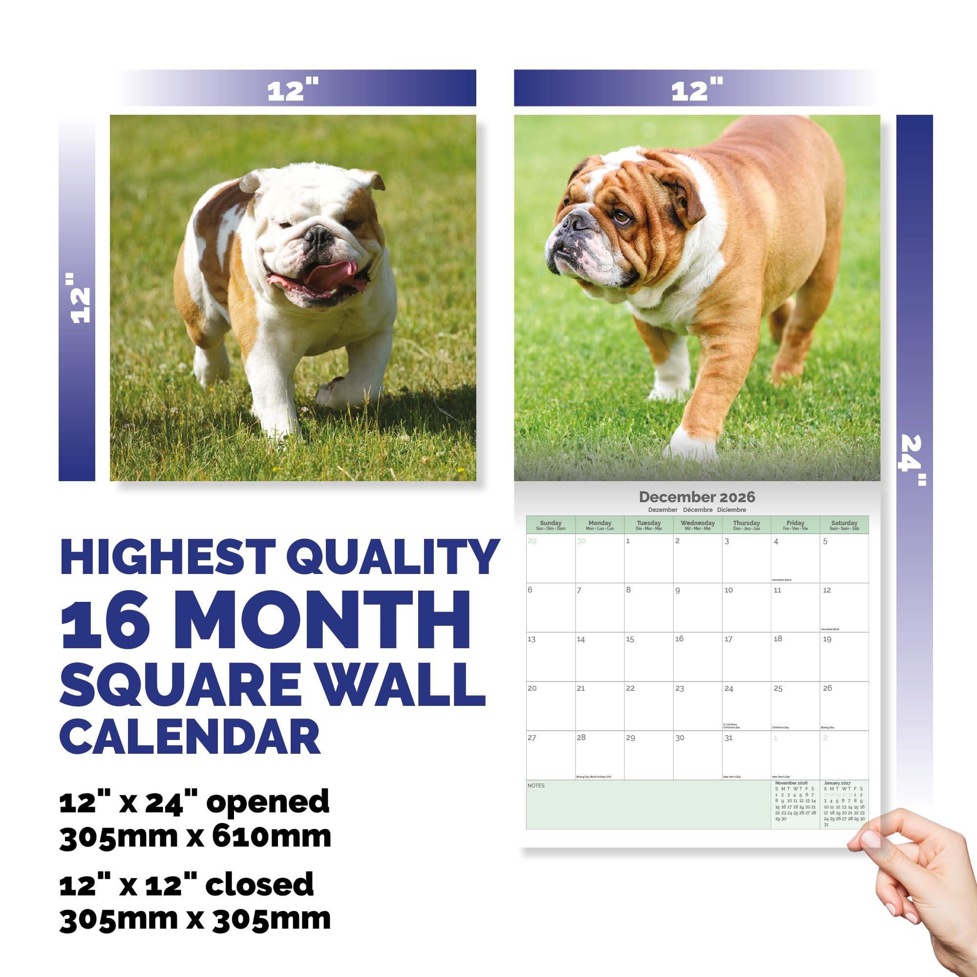 Bulldog Calendar 2026