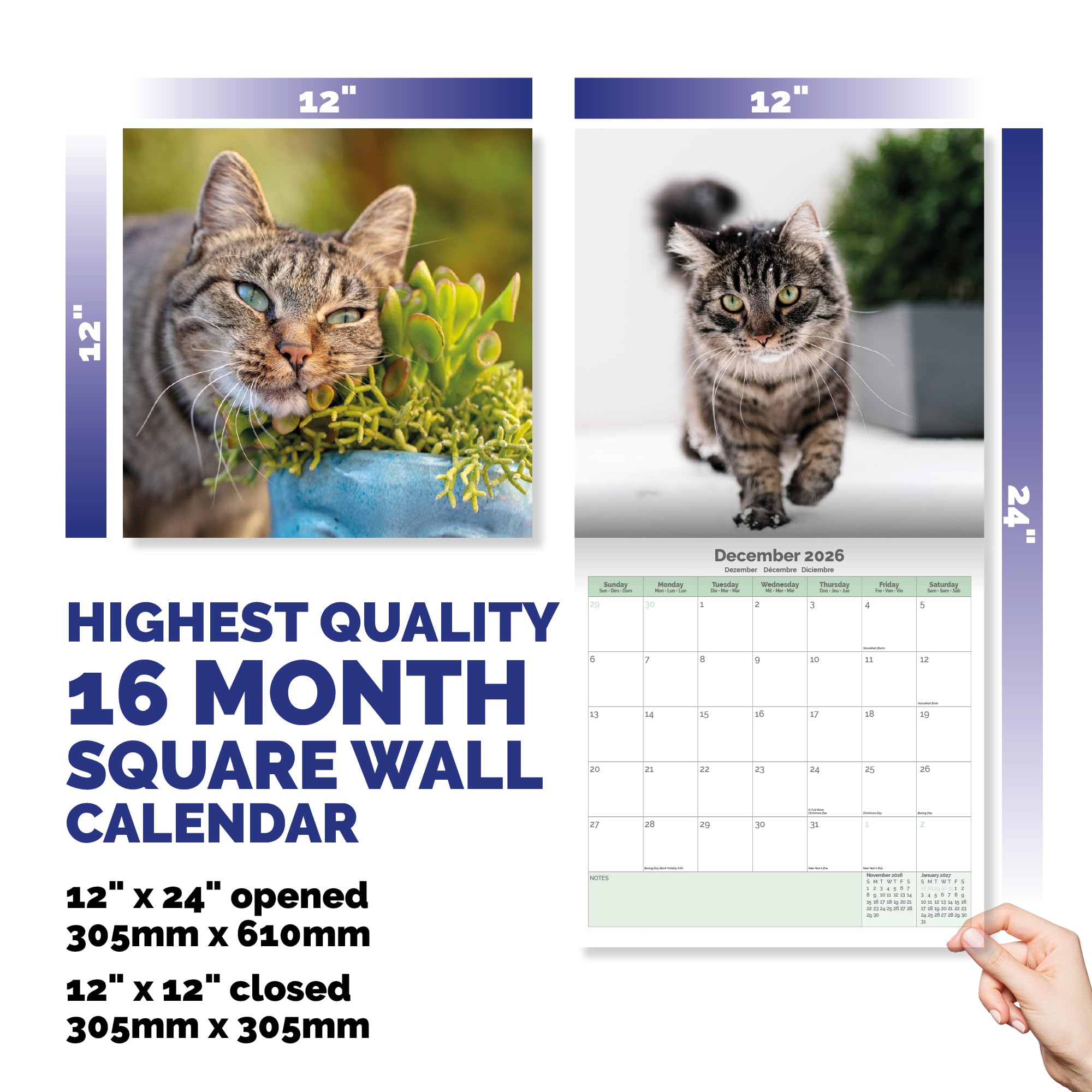 Cats Calendar 2026