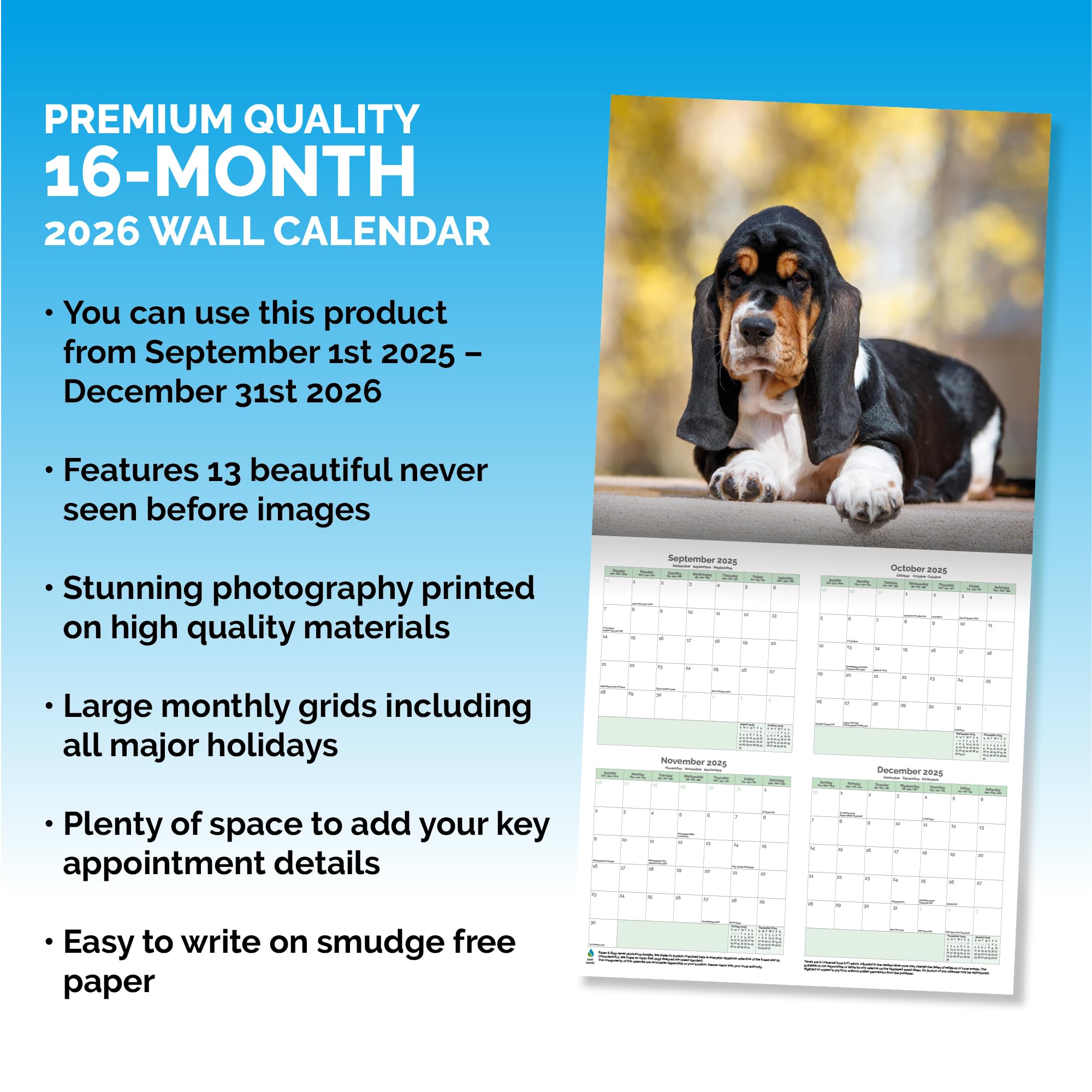 Basset Hound Calendar 2026