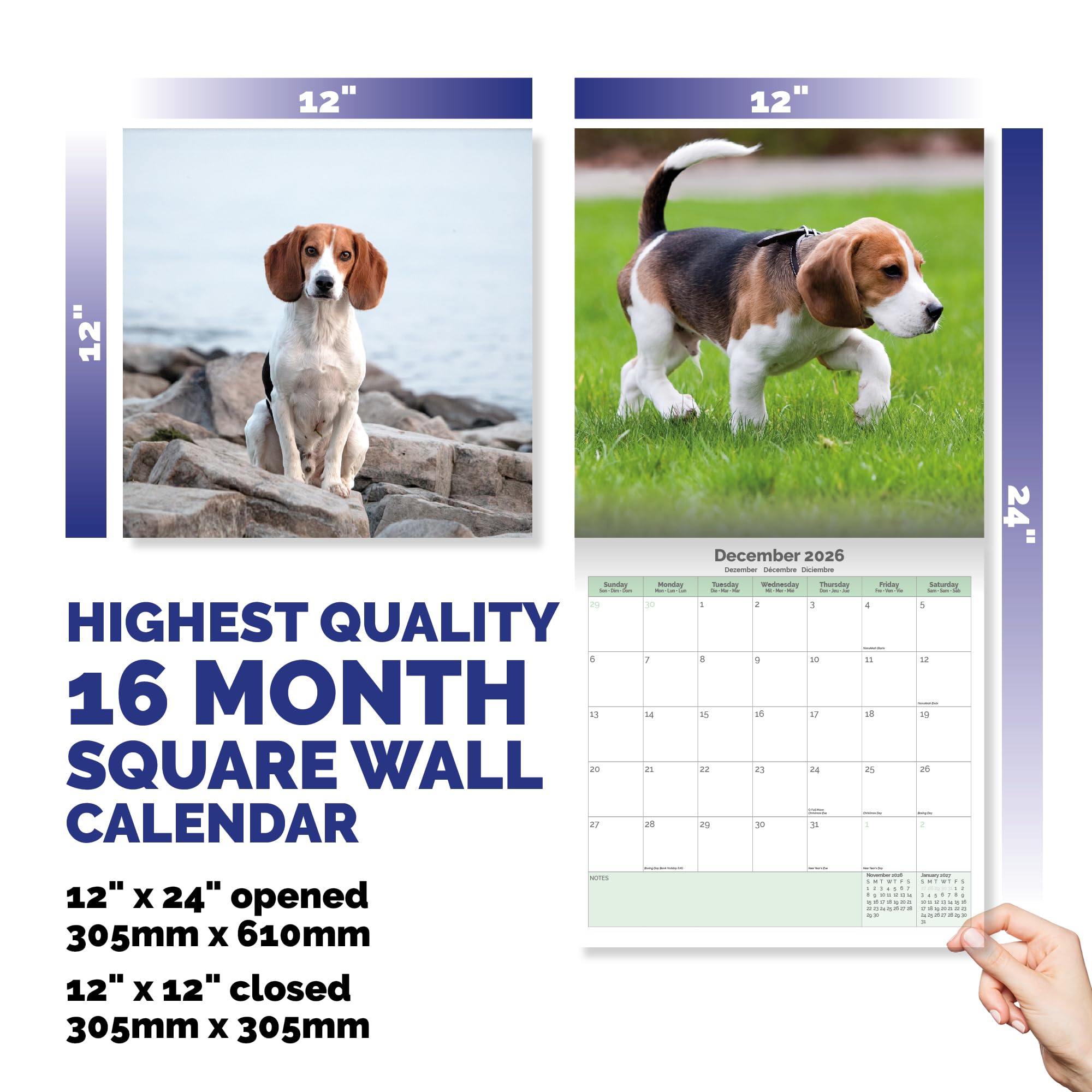 Beagle Calendar 2026