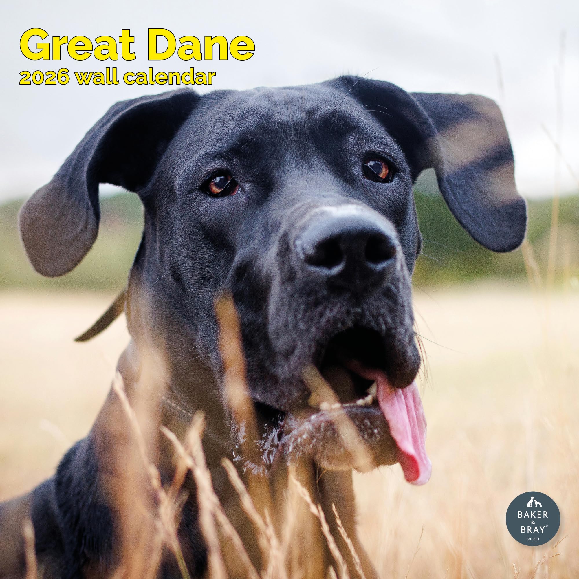Great Dane Calendar 2026