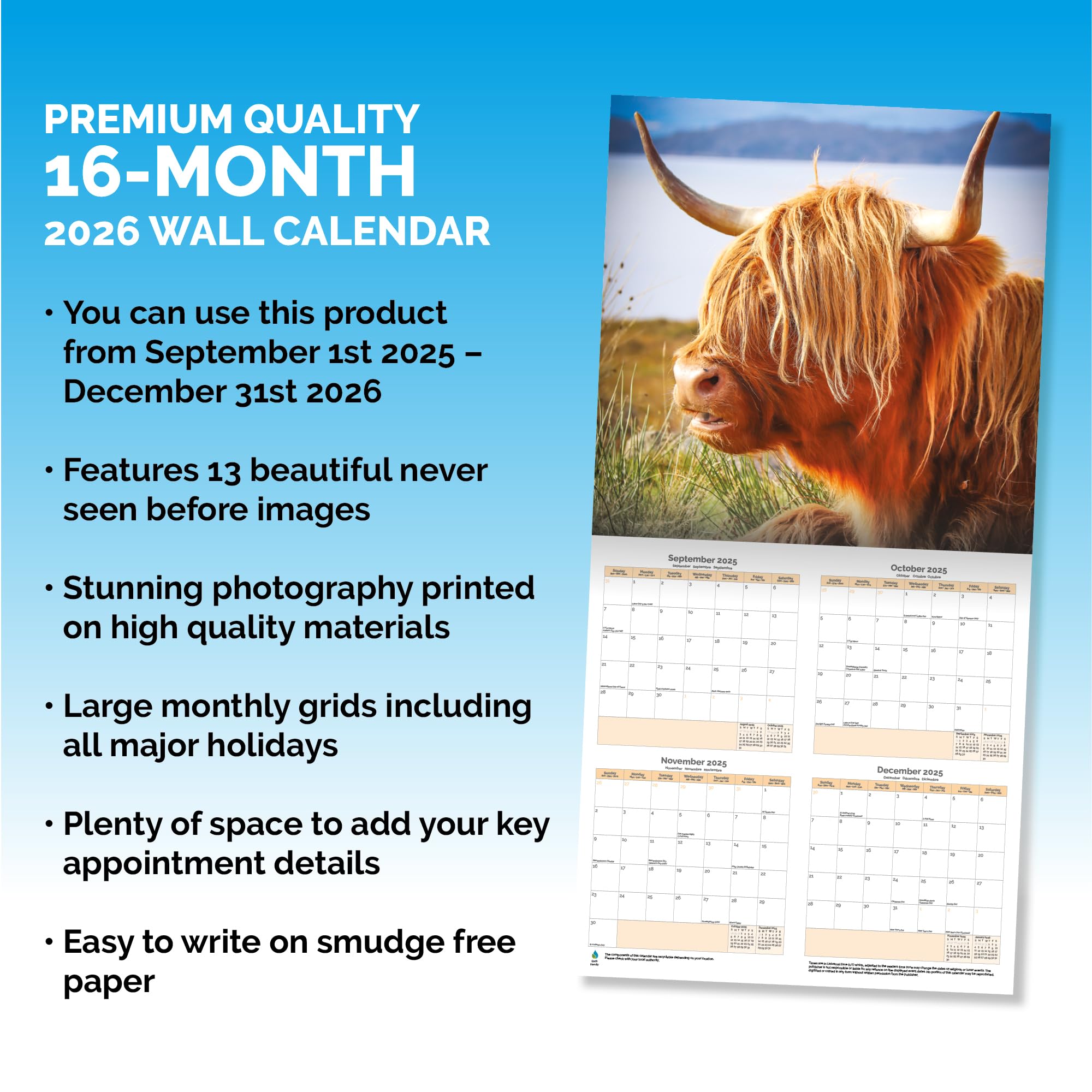Highland Cows Calendar 2026