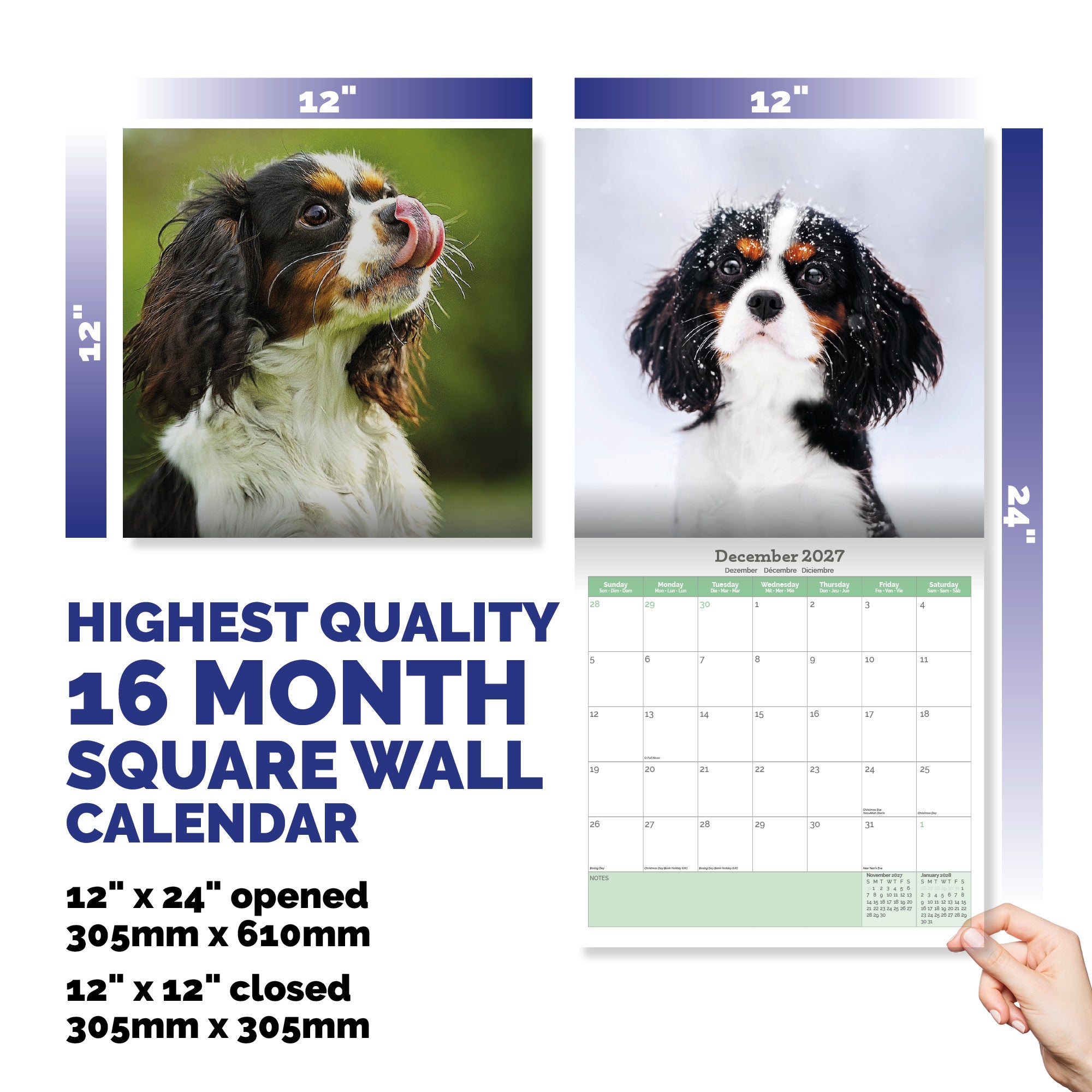Cavalier King Charles Calendar 2026