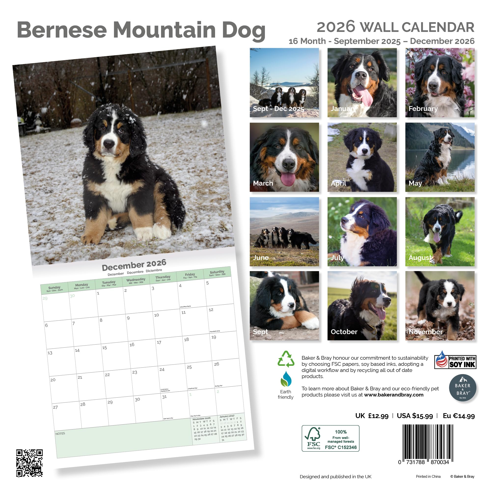 Bernese Mountain Dog Calendar 2026