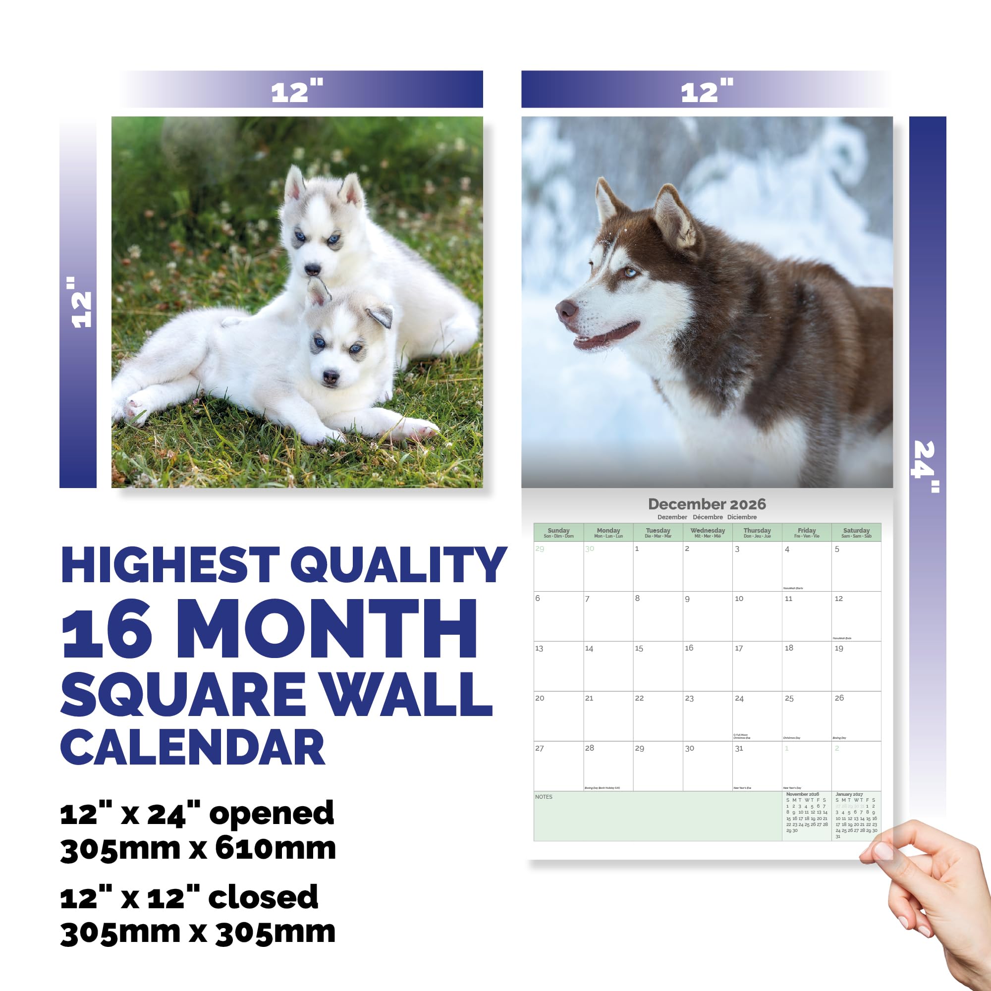 Siberian Husky Calendar 2026
