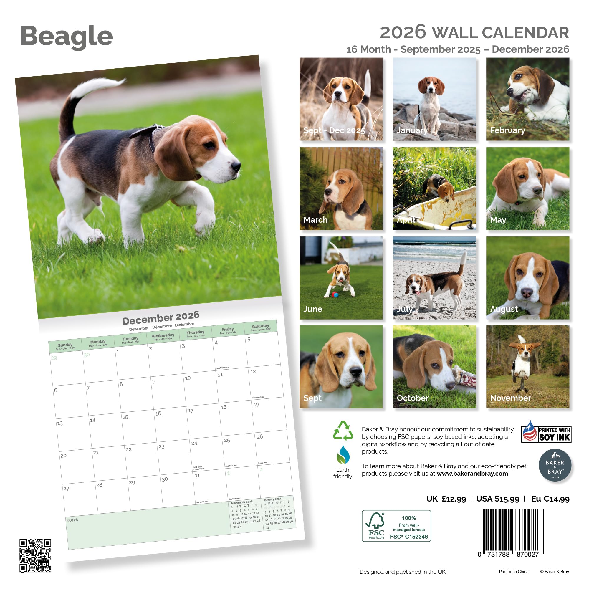 Beagle Calendar 2026