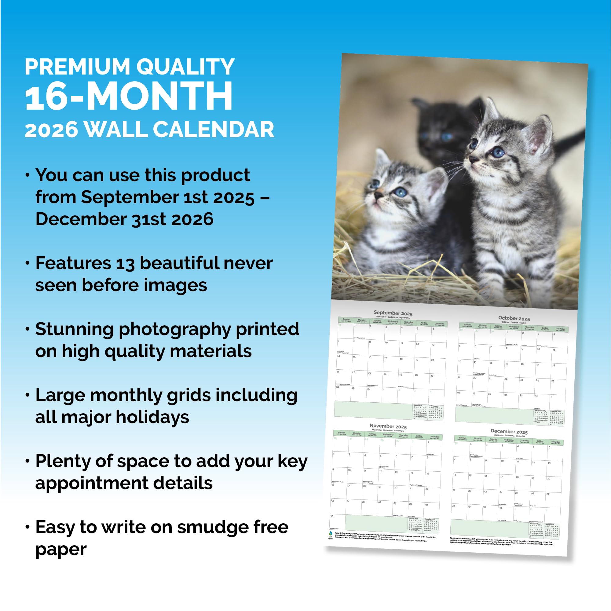 Kittens Calendar 2026