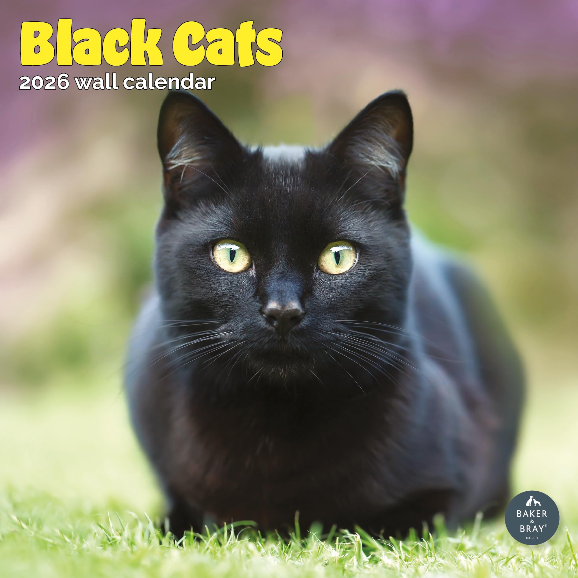 Black Cats Calendar 2026