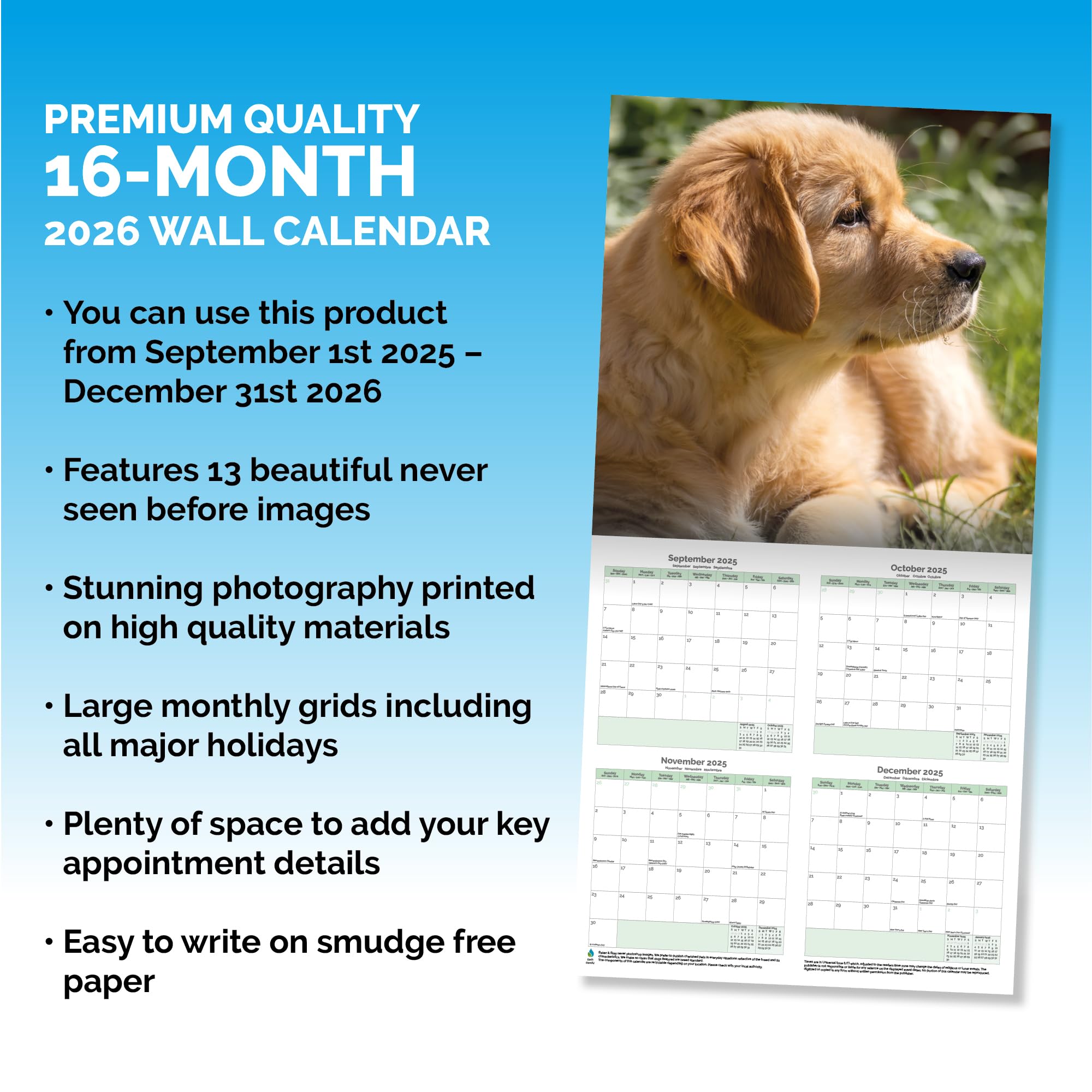 Puppies Calendar 2026