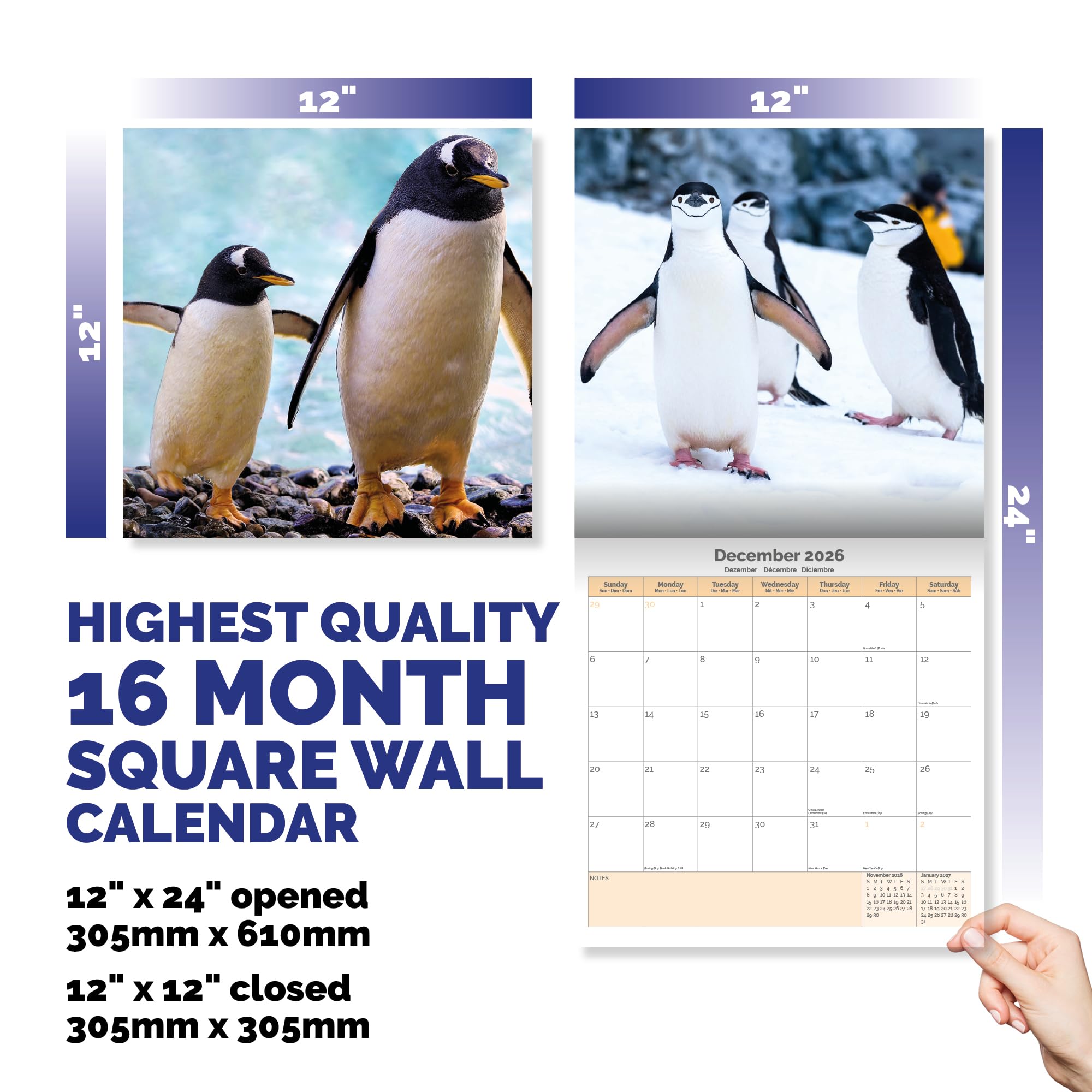 Penguins Calendar 2026