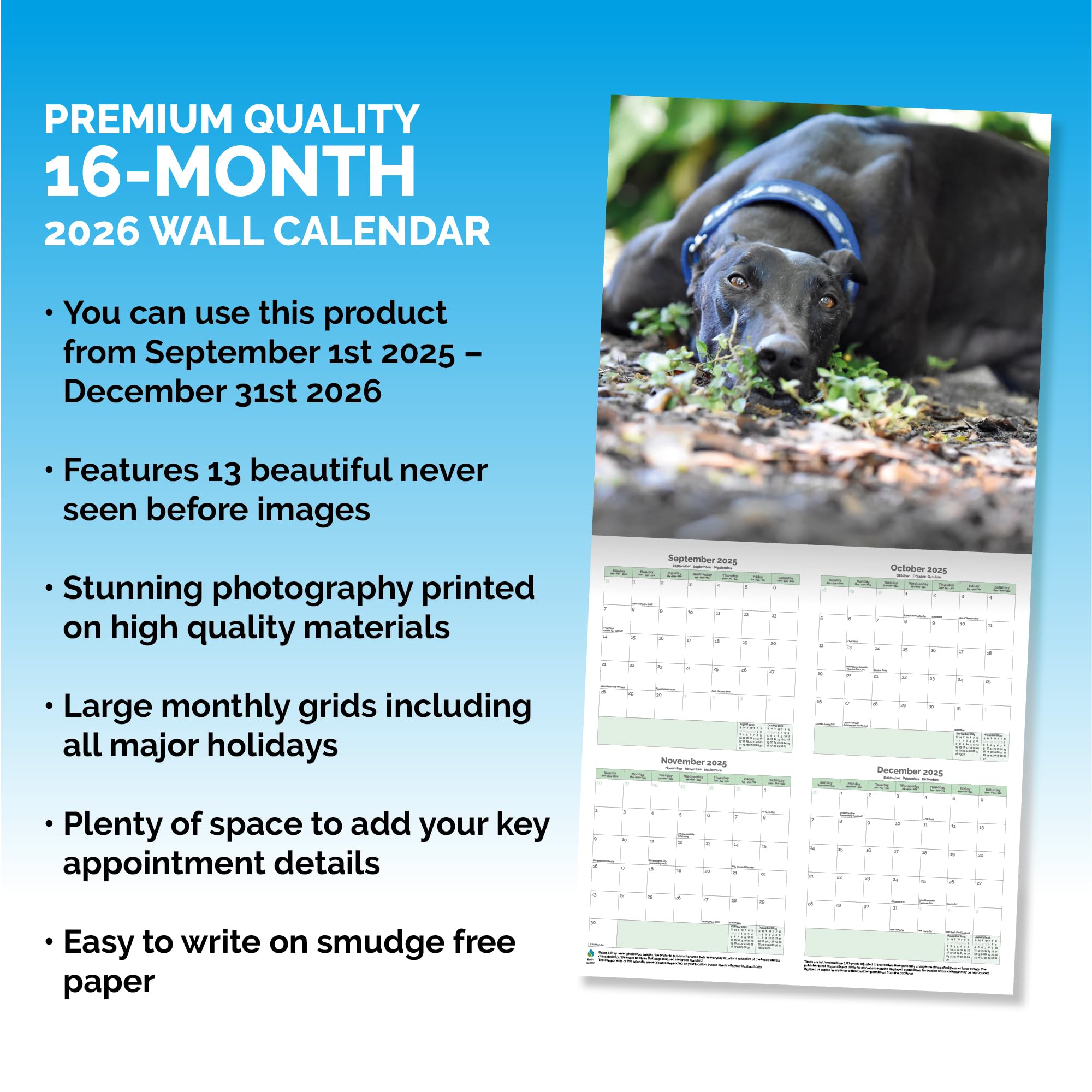 Greyhound Calendar 2026