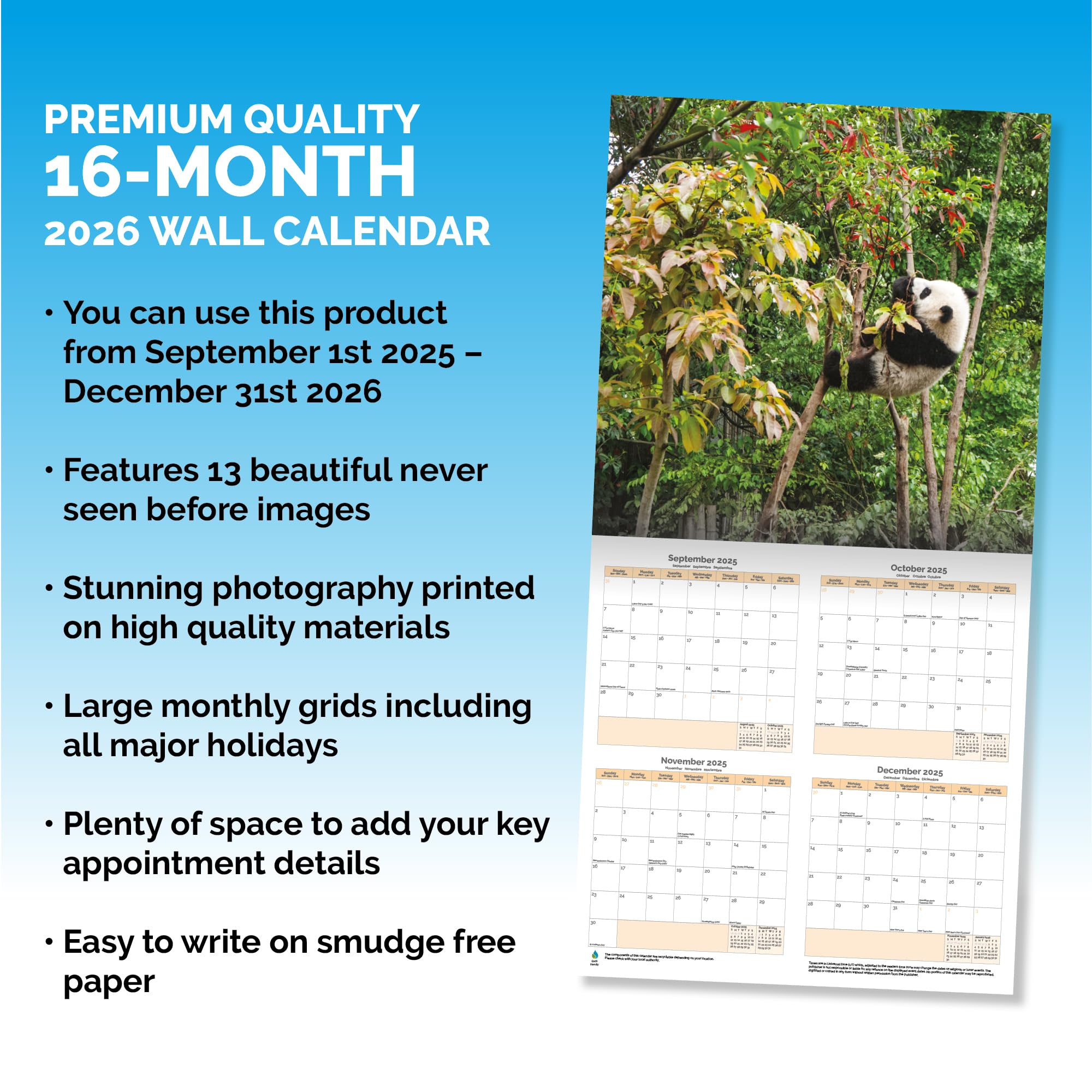 Panda Bears Calendar 2026,