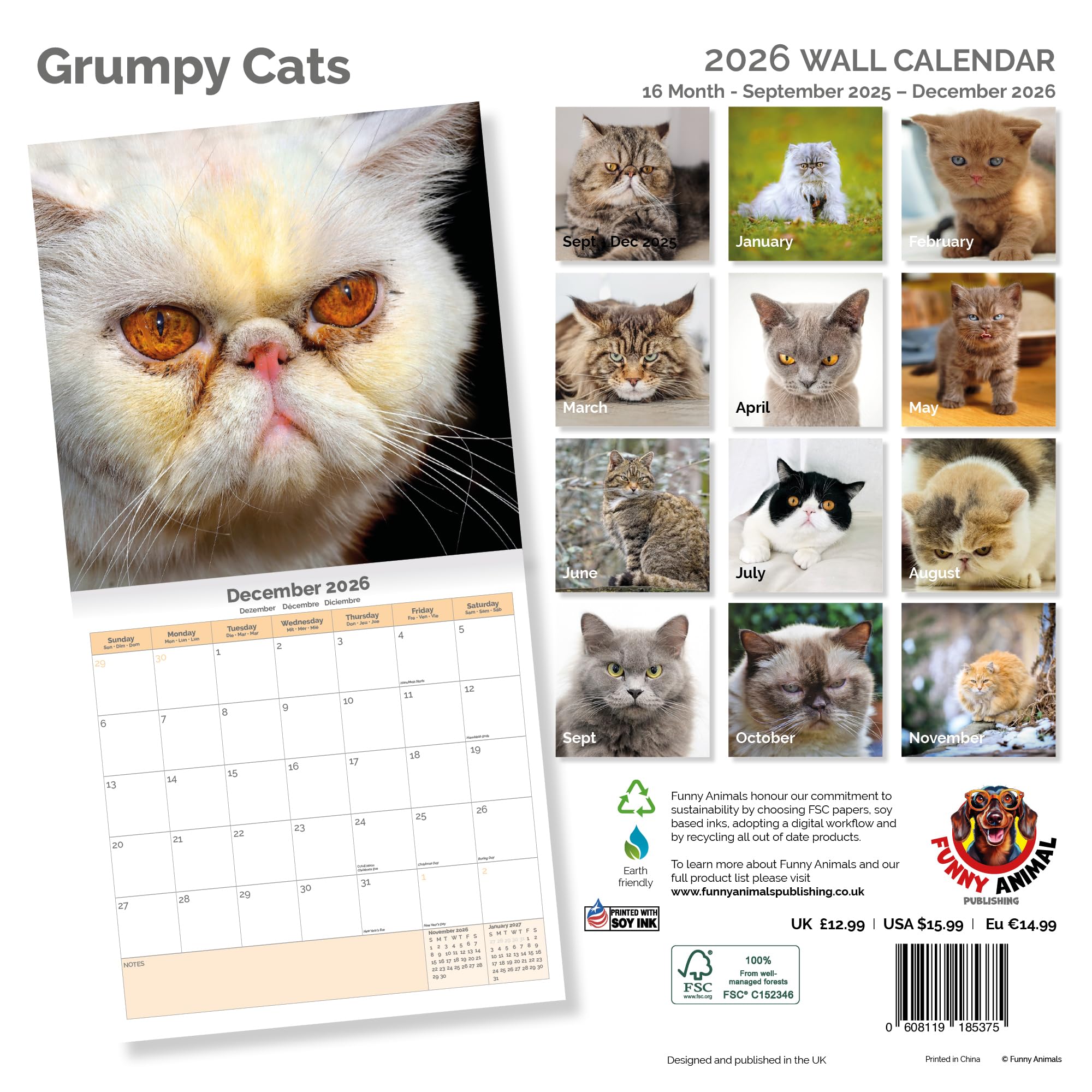 Grumpy Cats Calendar 2026