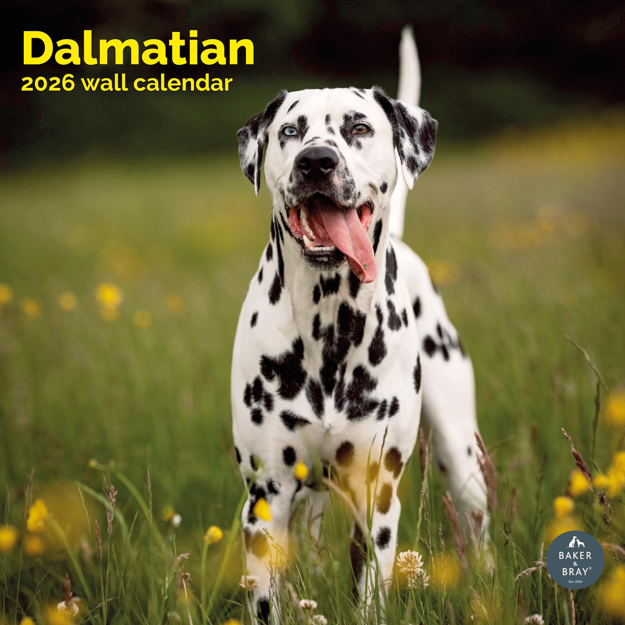 Dalmatian Calendar 2026