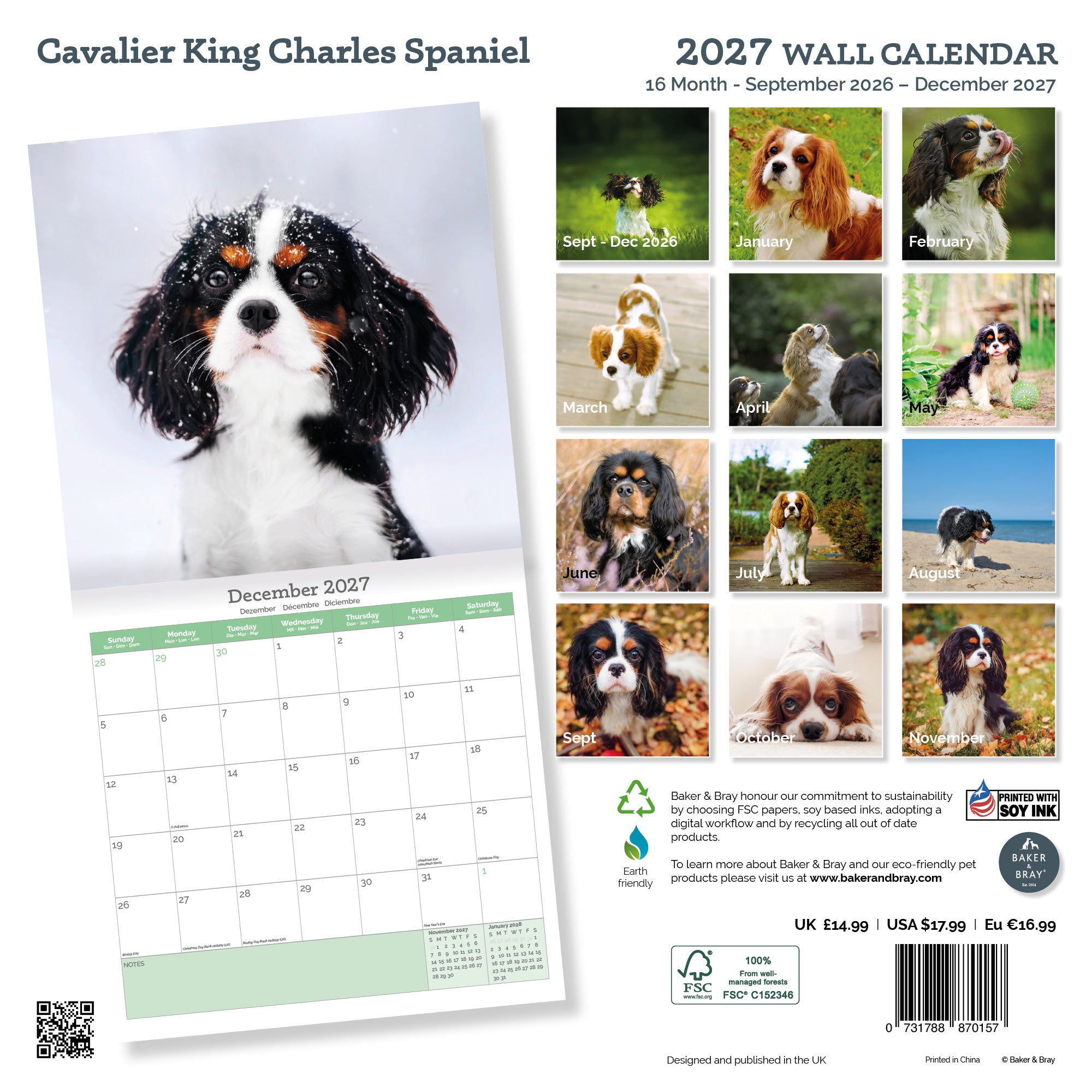 Cavalier King Charles Calendar 2026