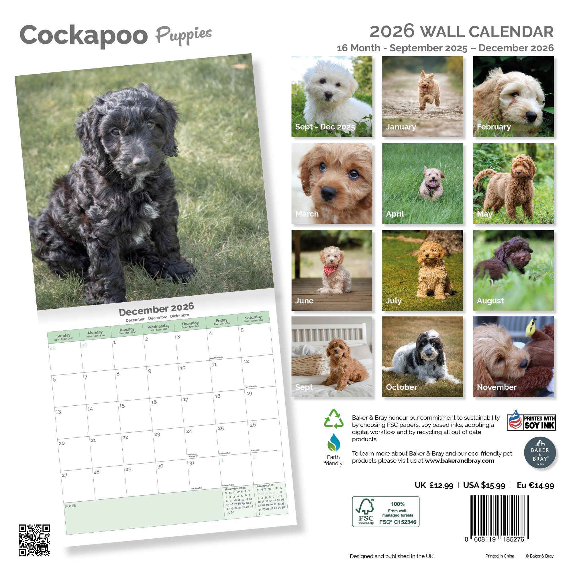 Cockapoo Puppies Calendar 2026