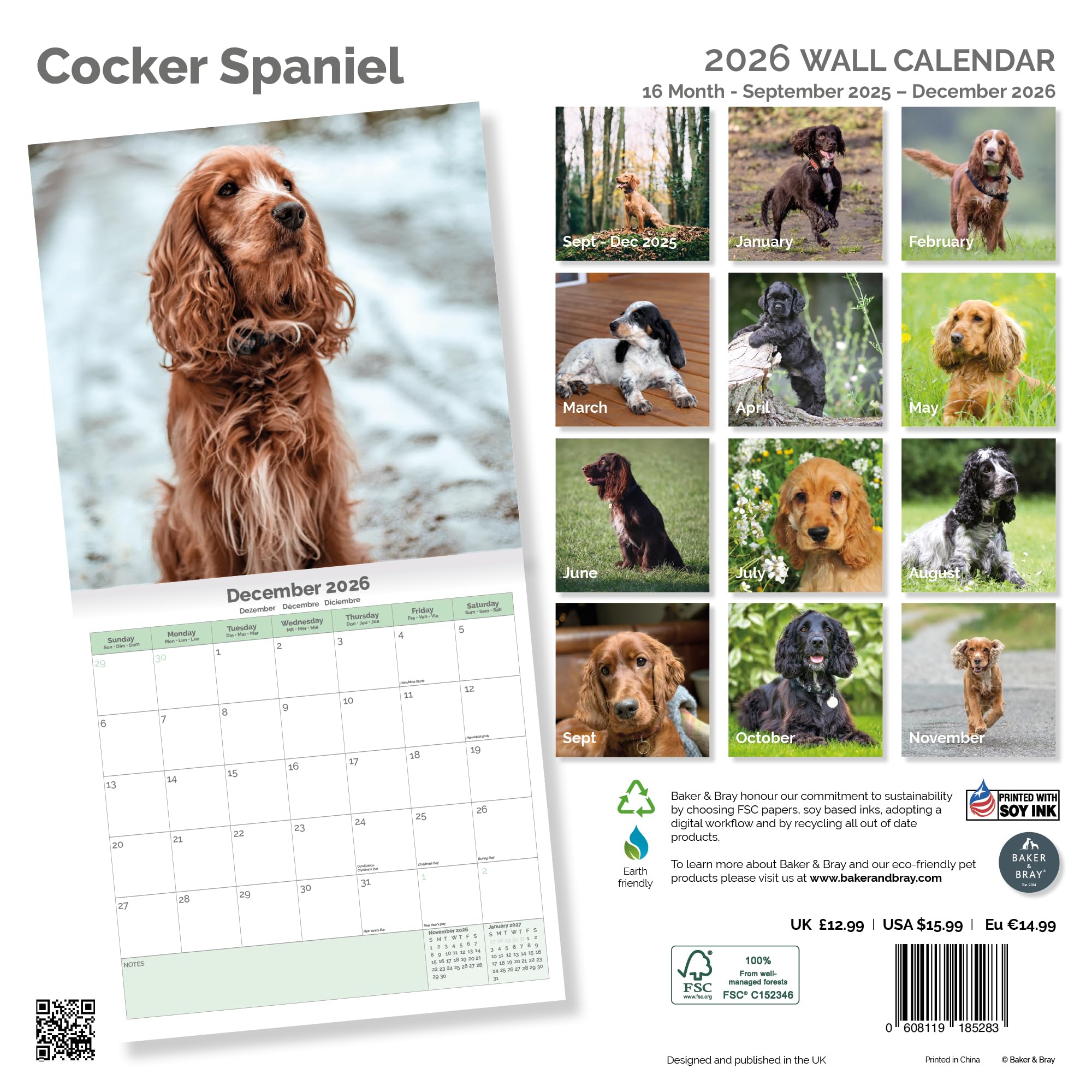 Cocker Spaniel Calendar 2026