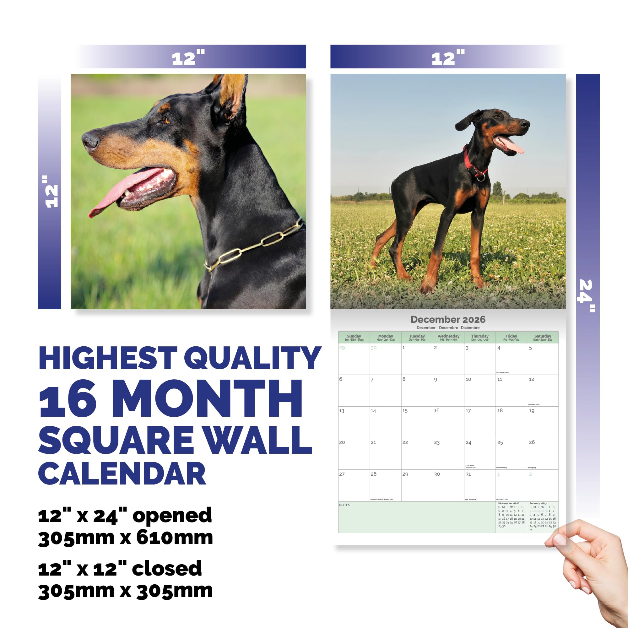 Doberman Calendar 2026