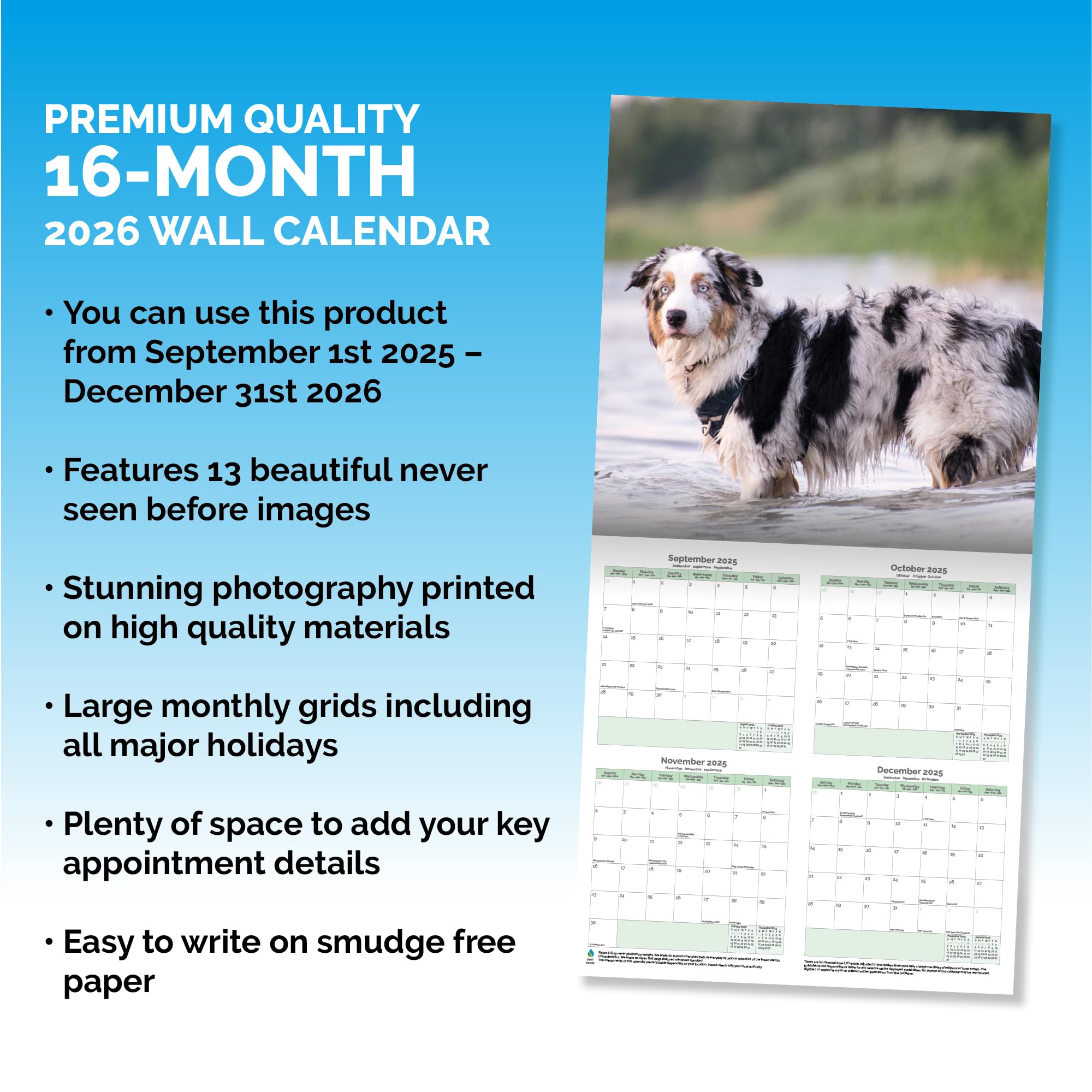 Australian Shepherd Calendar 2026