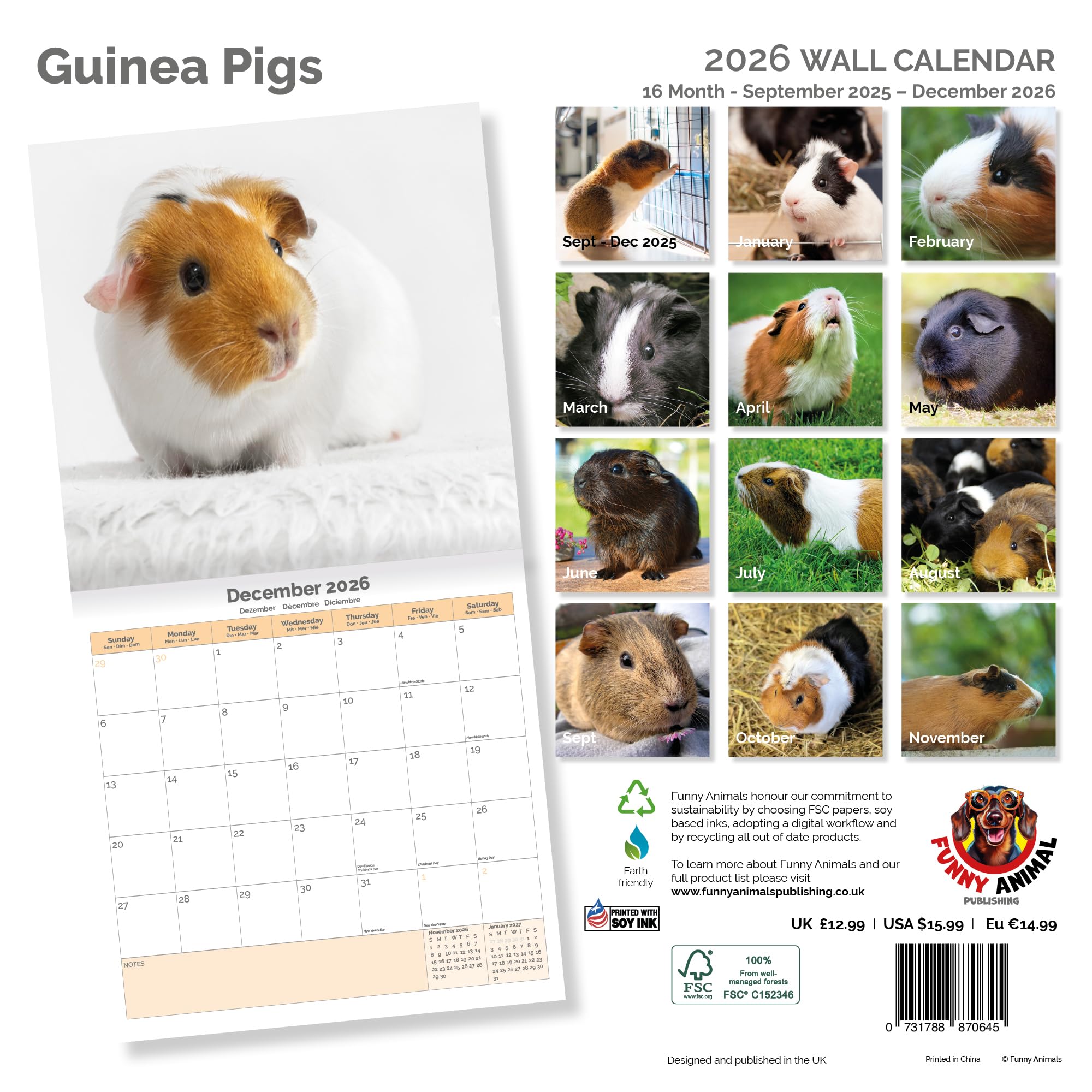 Guinea Pig Calendar 2026