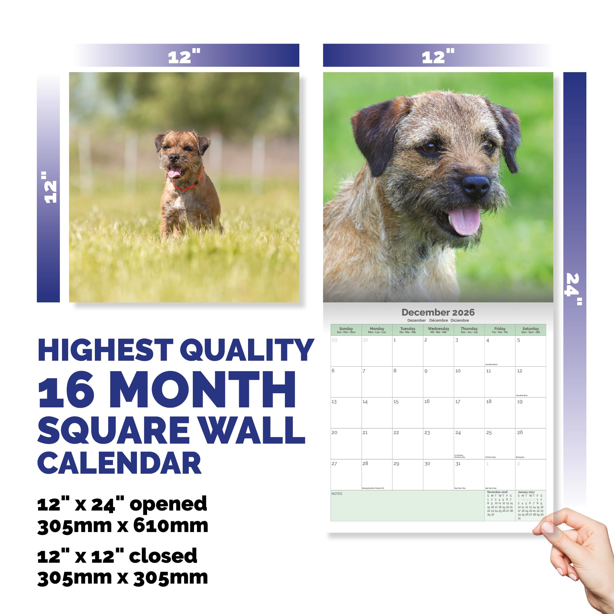 Border Terrier Calendar 2026