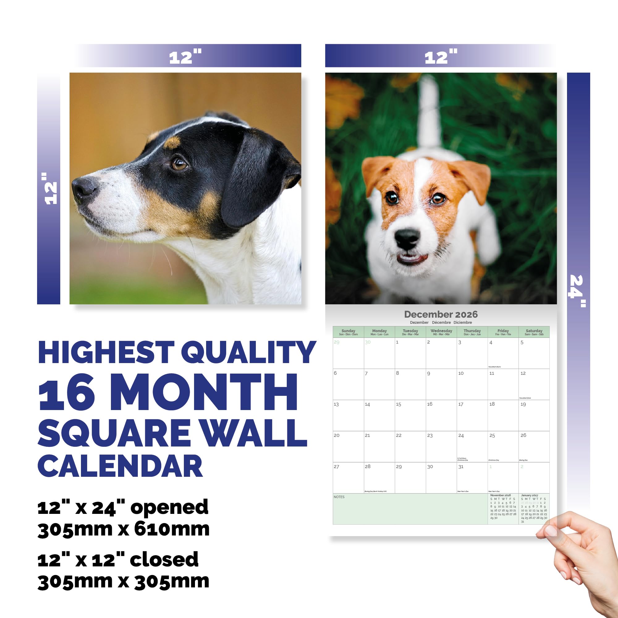 Jack Russell Calendar 2026