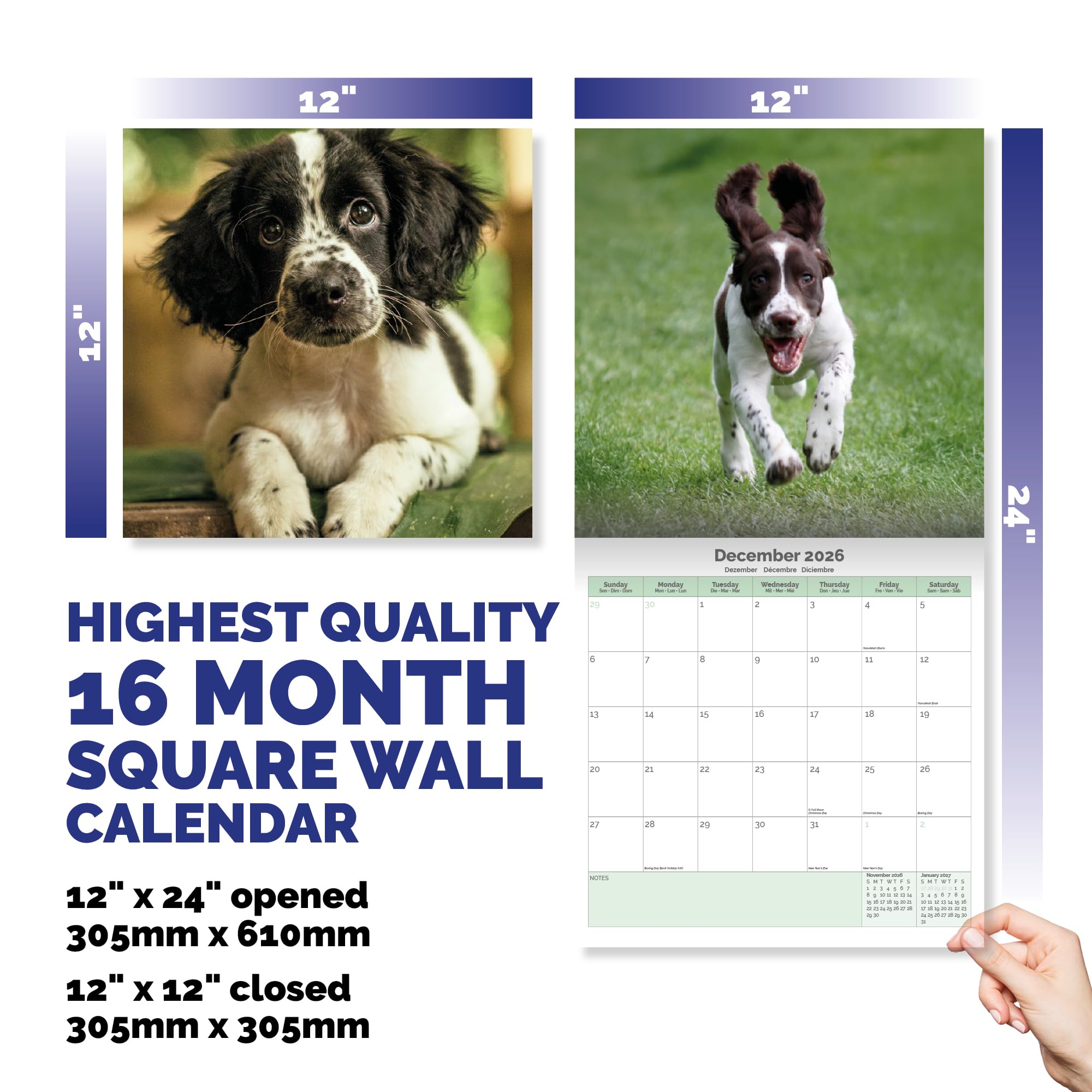 English Springer Spaniel Calendar 2026