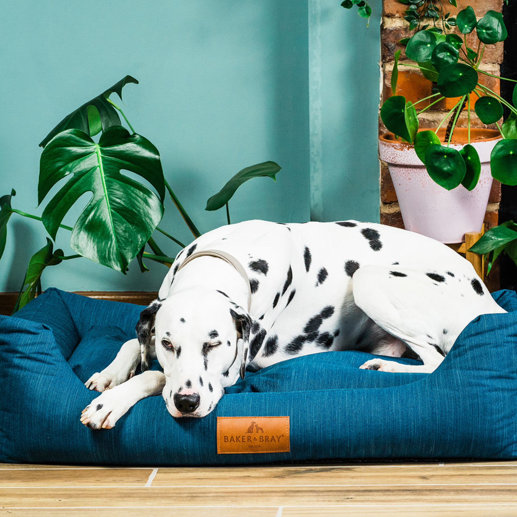 The Ultimate - Eco Friendly Orthopaedic Luxury Dog Bed, Teal Blue-Green