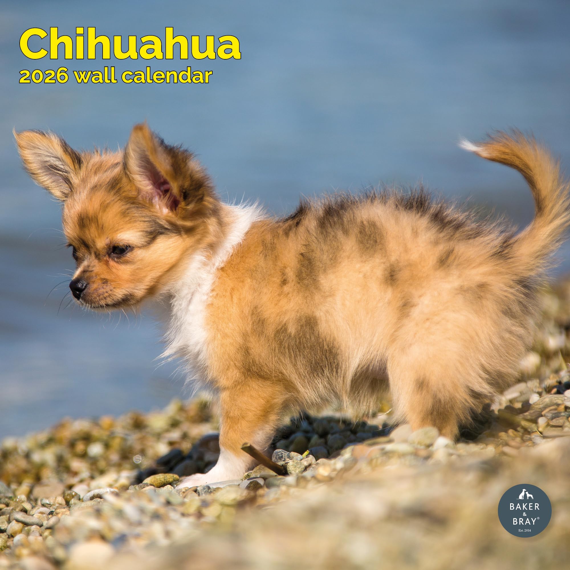 Chihuahua Calendar 2026