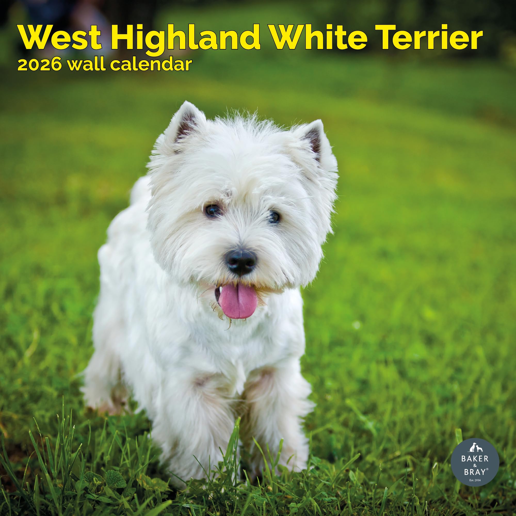 West Highland White Terrier Calendar 2026
