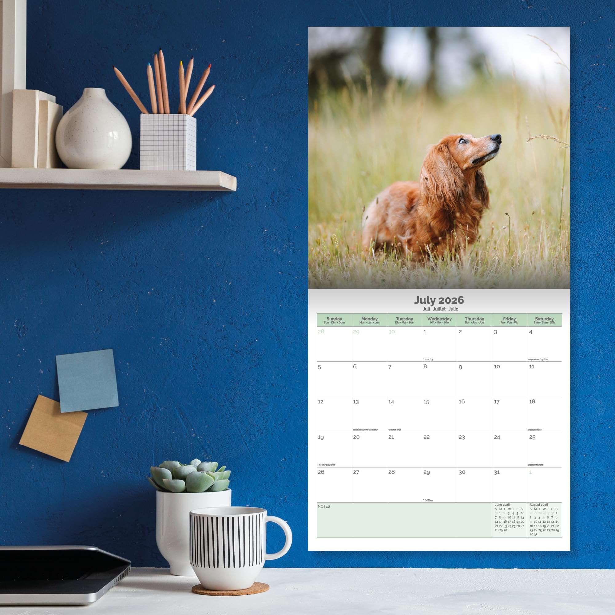 Dachshund Calendar 2026