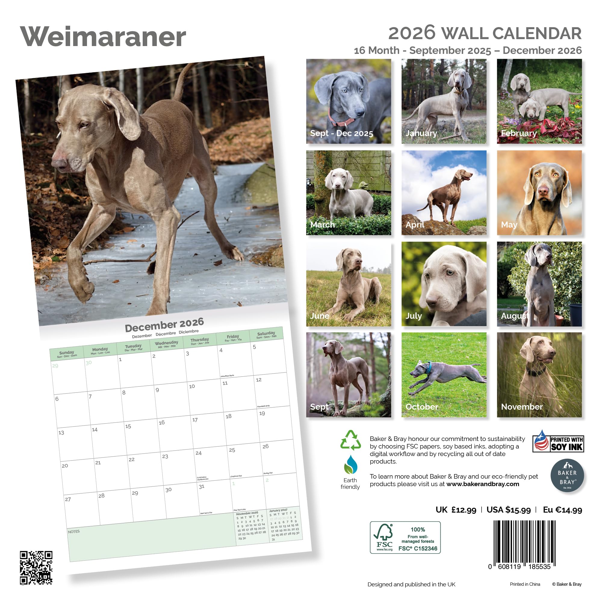Weimaraner Calendar 2026