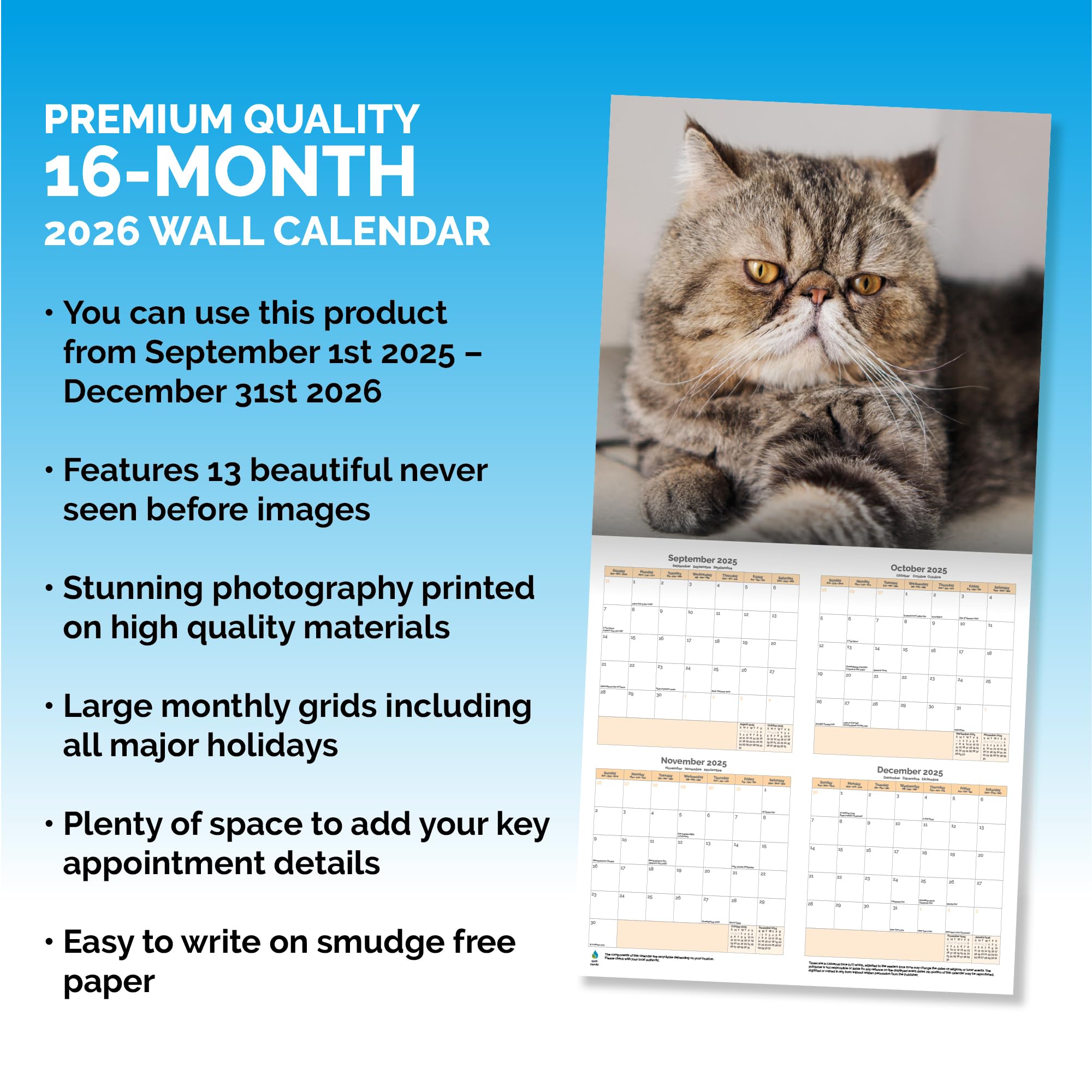 Grumpy Cats Calendar 2026